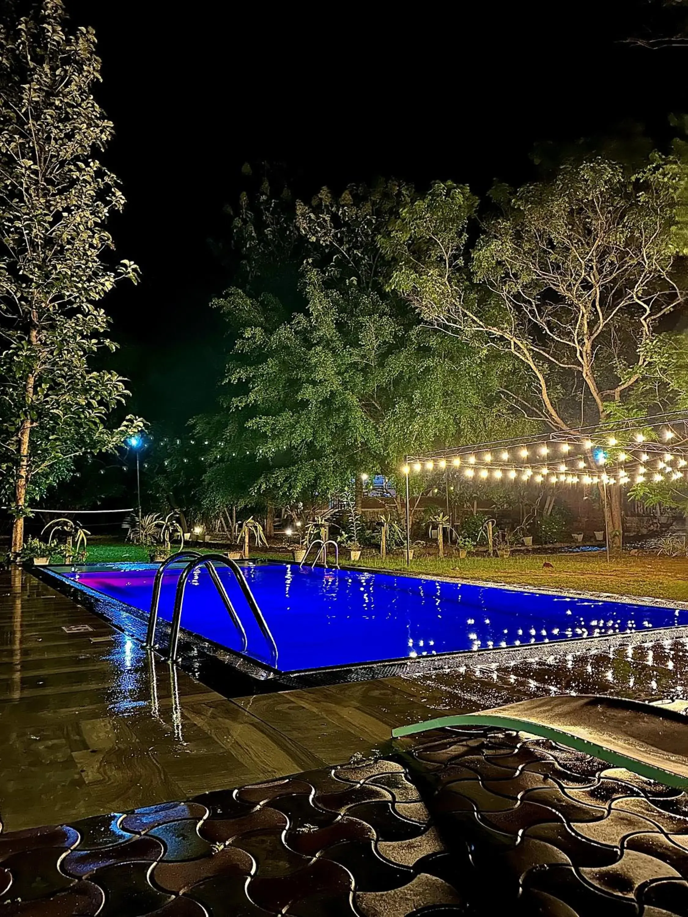 Birds Paradise Inn Birds Paradise Inn