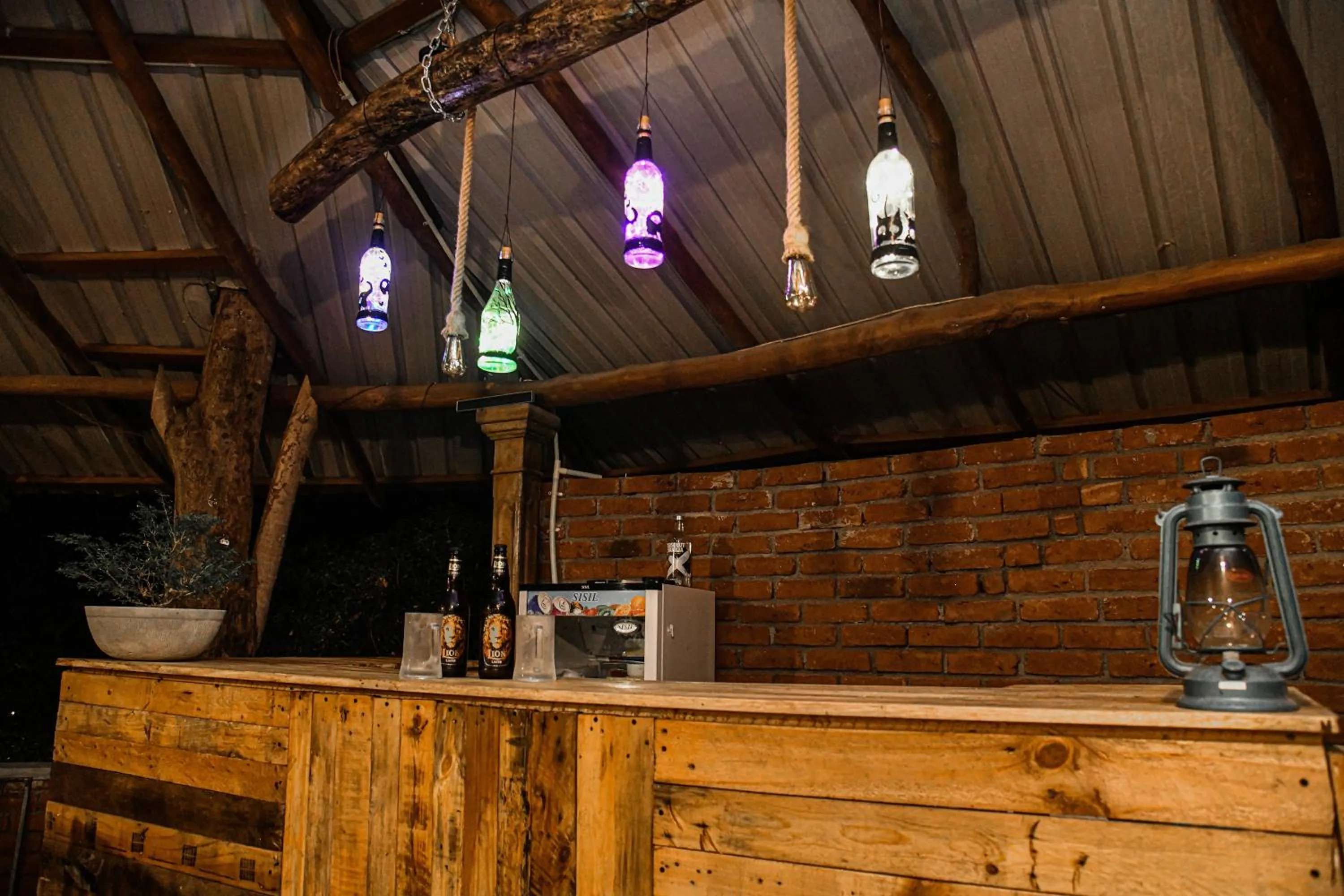 Restaurant/places to eat in Birds Paradise Inn