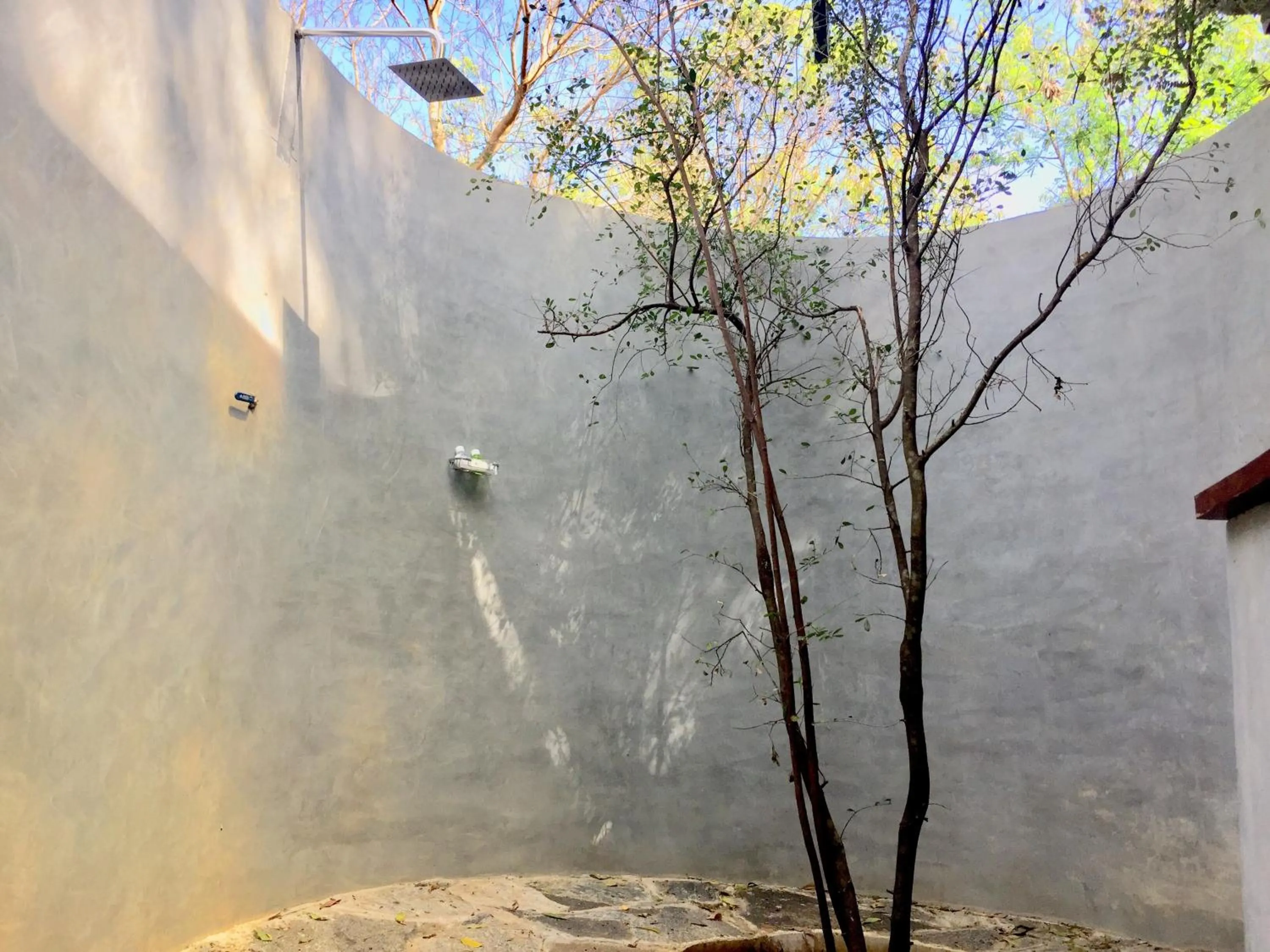 Bathroom in Birds Paradise Inn