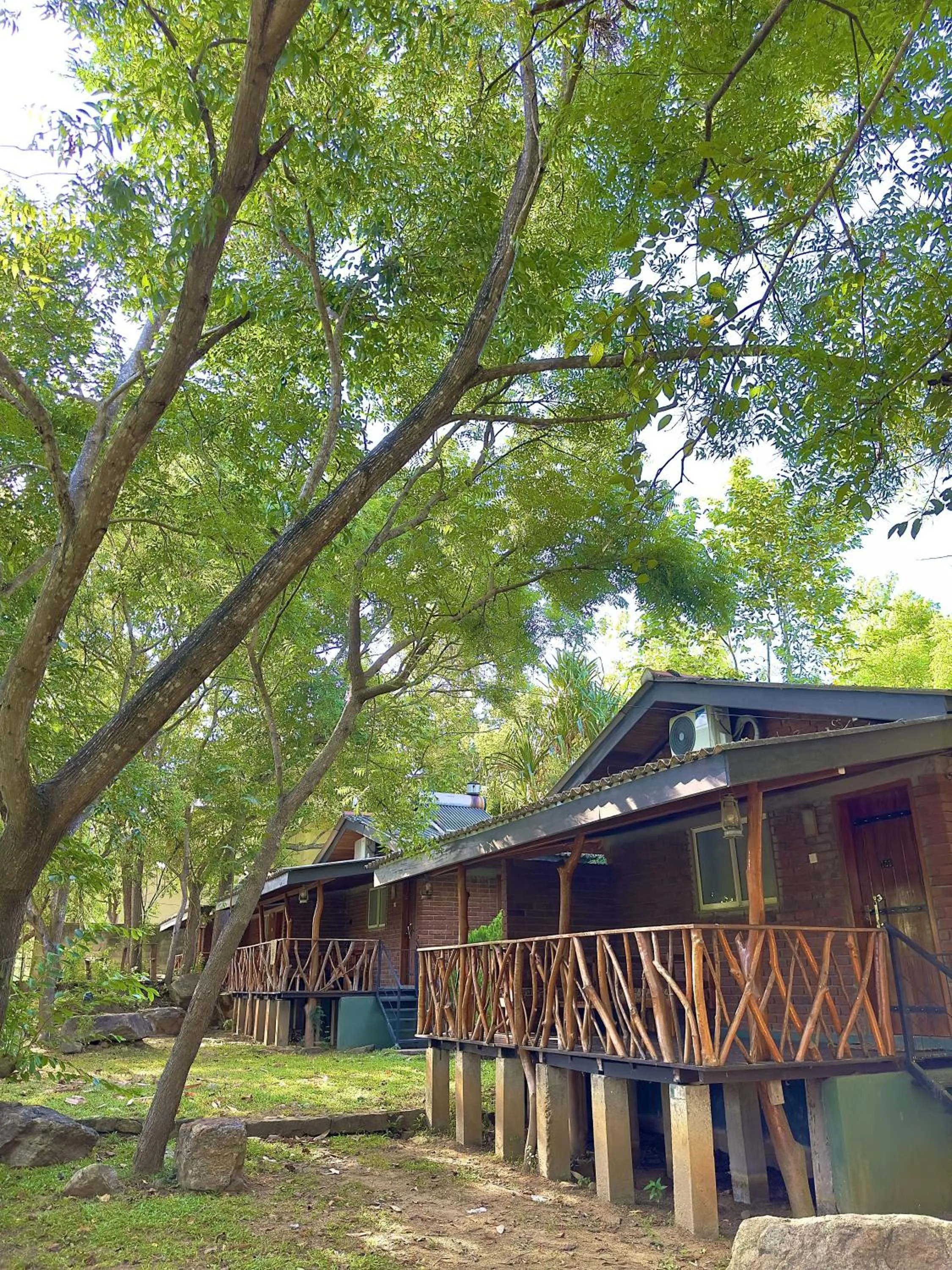 Day in Birds Paradise Inn