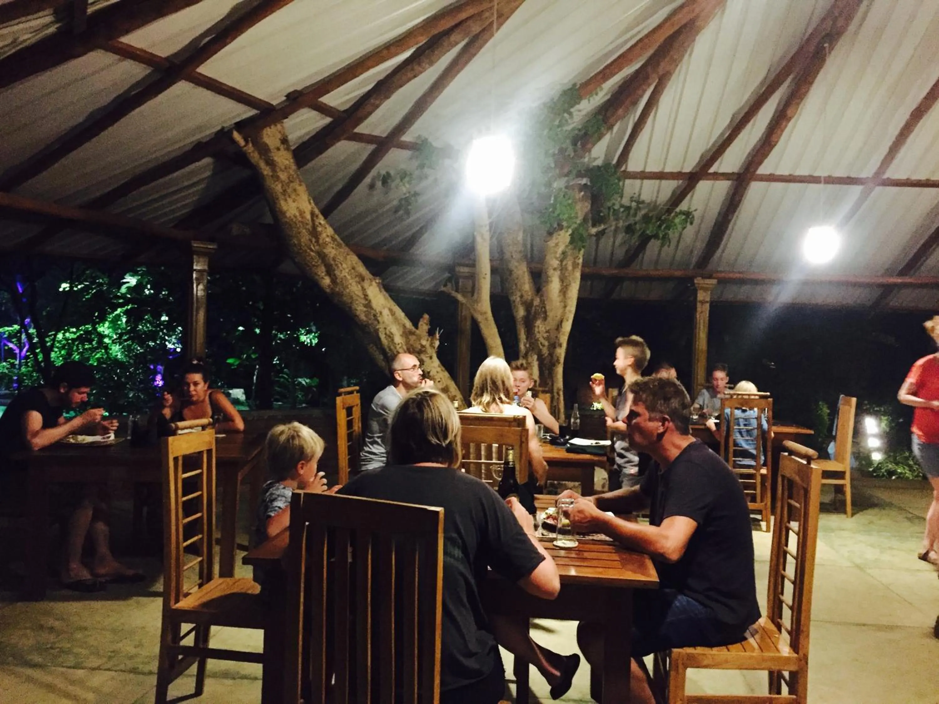 Restaurant/places to eat in Birds Paradise Inn