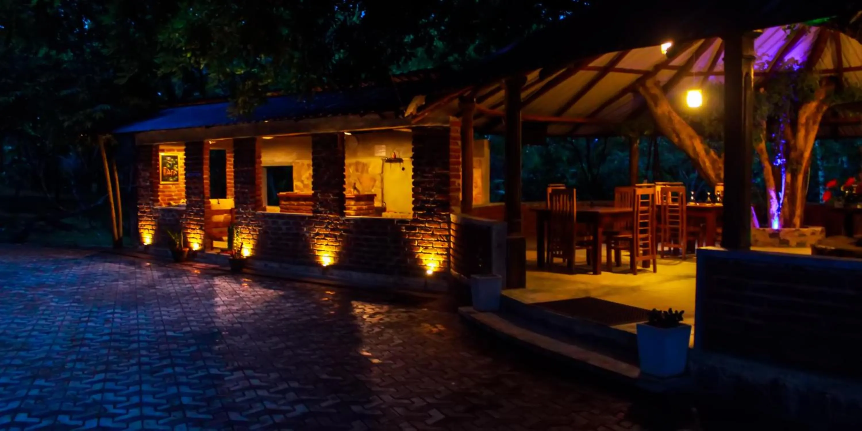 Restaurant/places to eat in Birds Paradise Inn