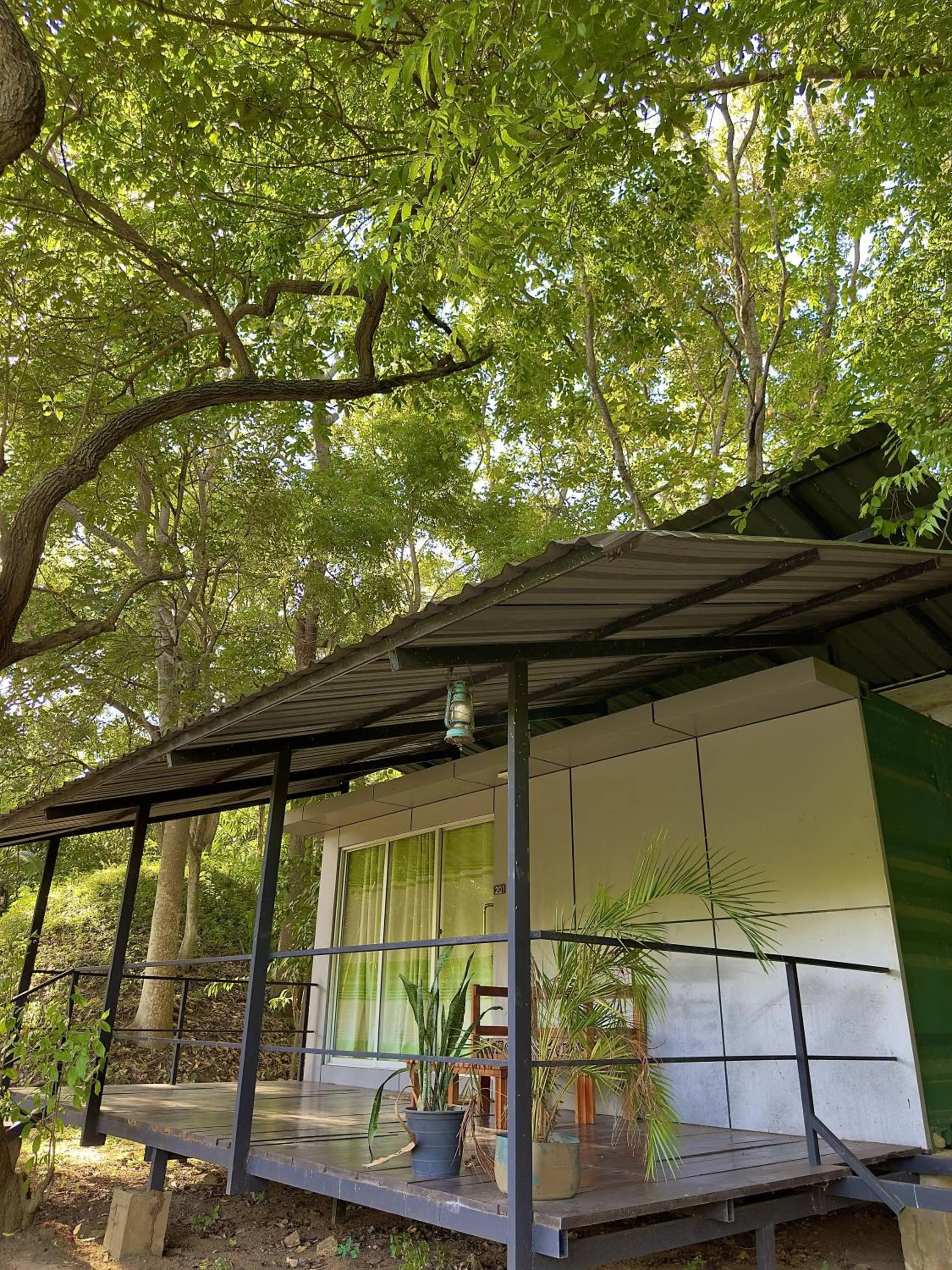 Day in Birds Paradise Inn