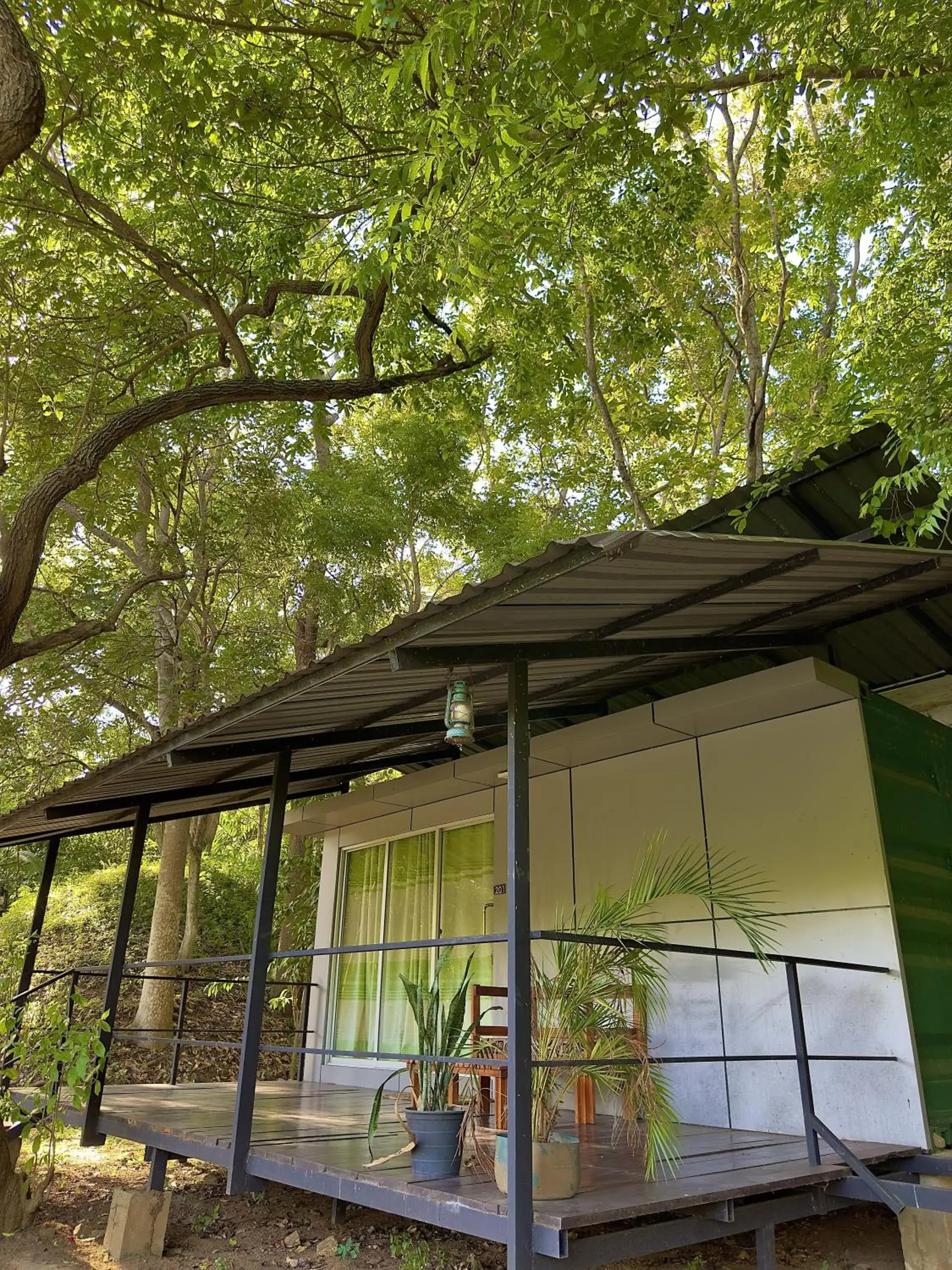 Budget Double Room in Birds Paradise Inn Budget Double Room in Birds Paradise Inn