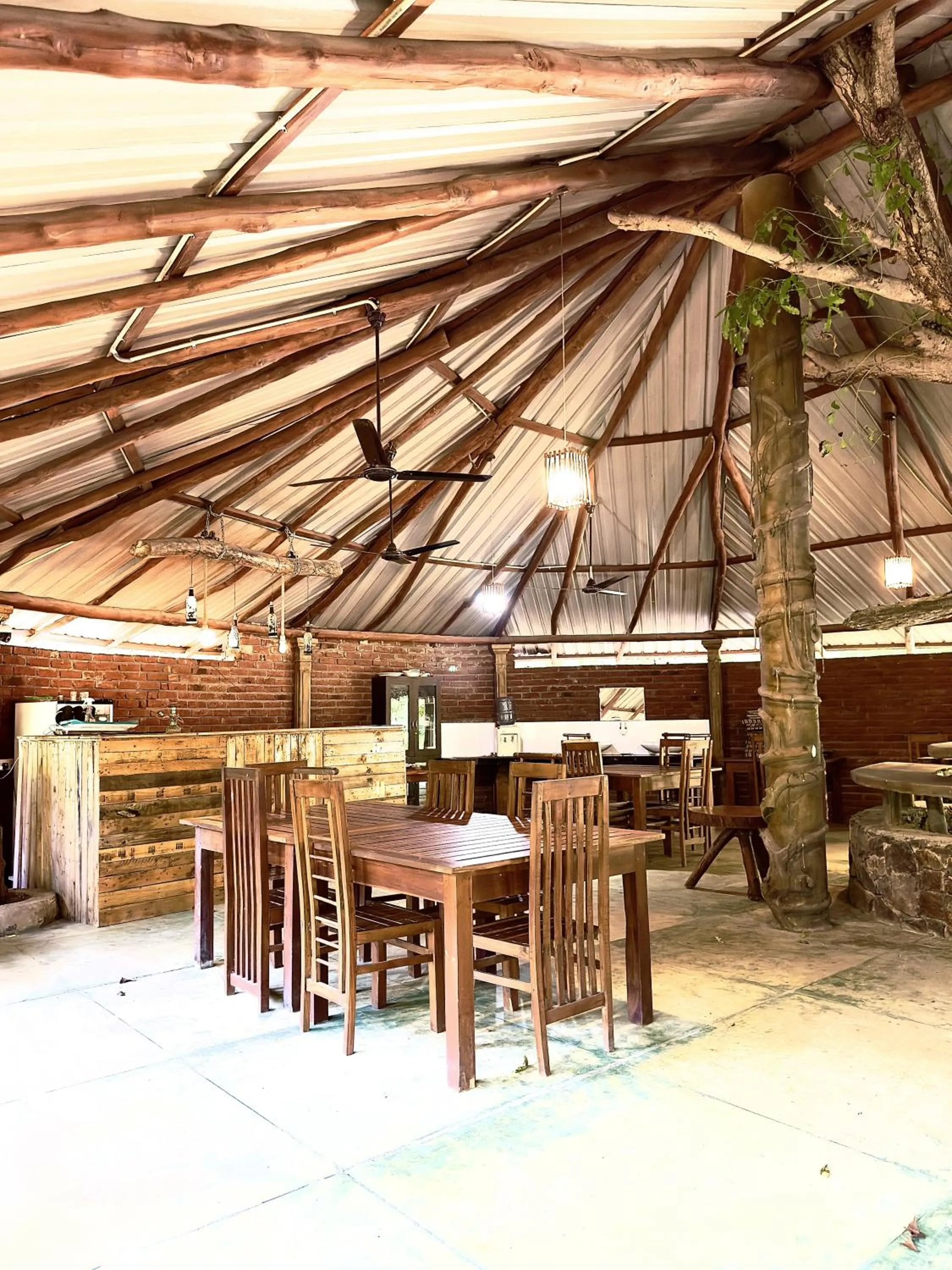 Restaurant/places to eat in Birds Paradise Inn