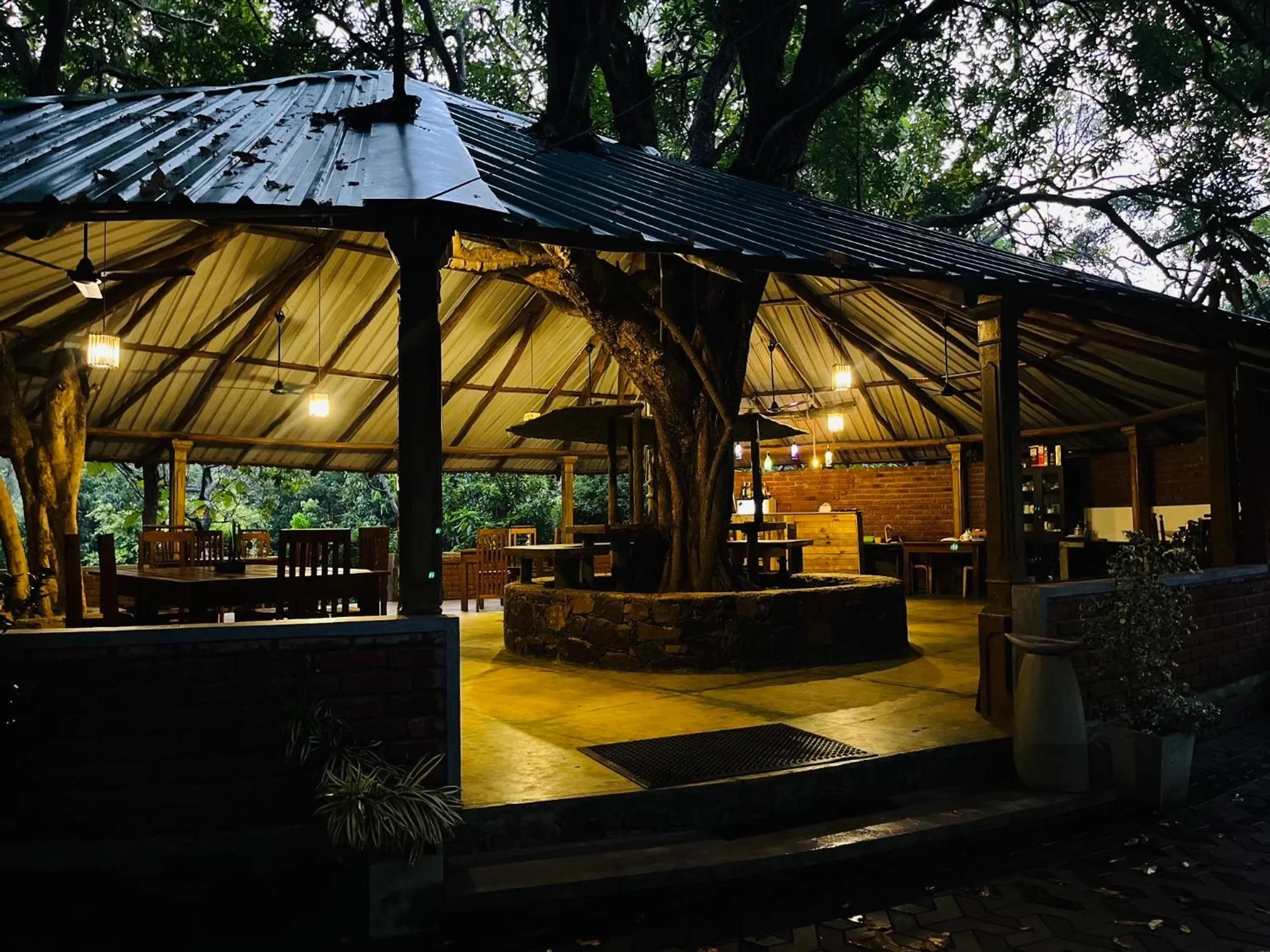 Restaurant/places to eat in Birds Paradise Inn