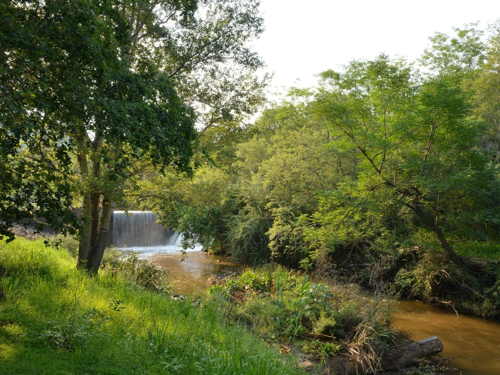 Garden in Glenburn Lodge & Spa