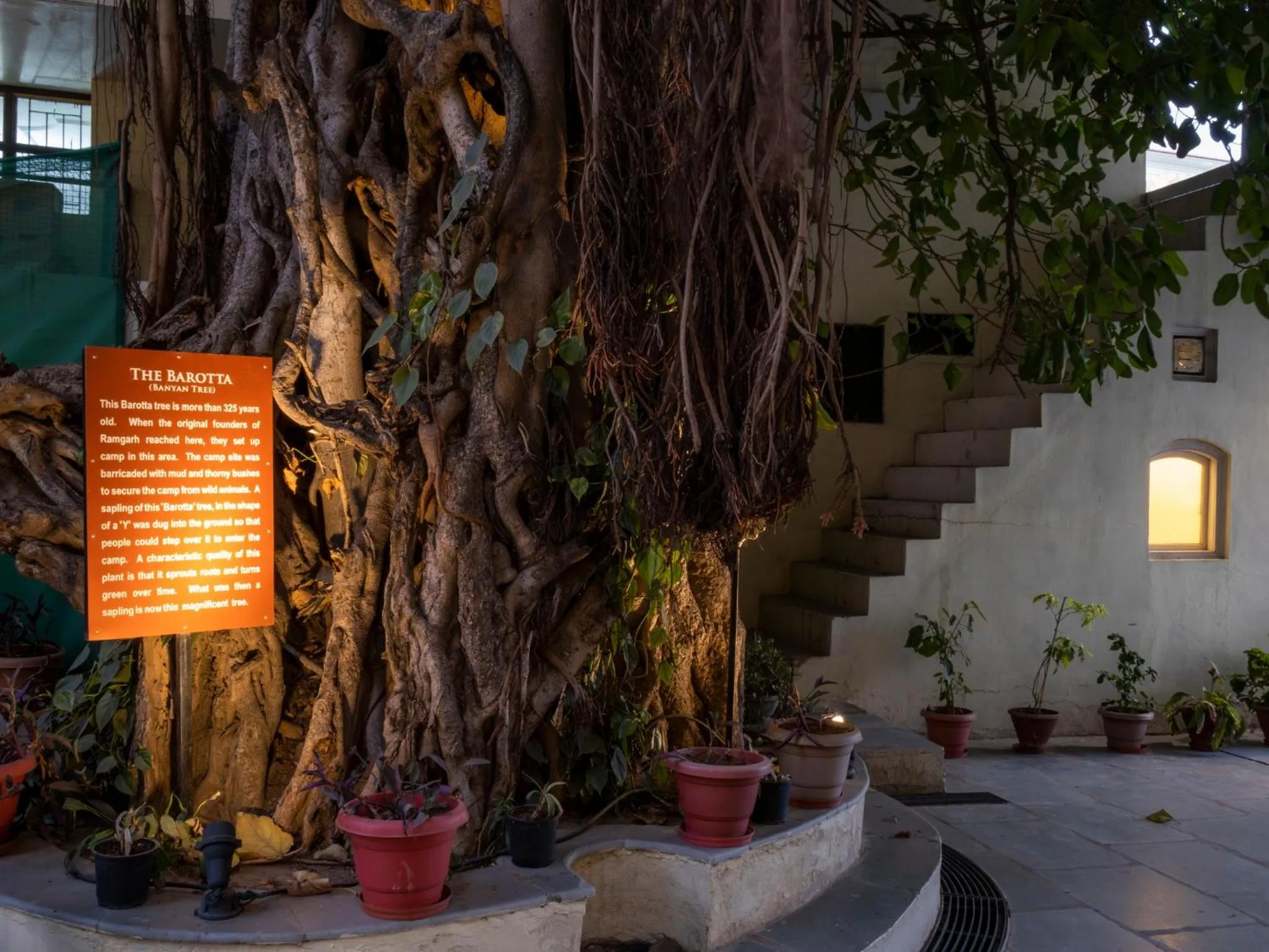 Garden view in WelcomHeritage Ramgarh
