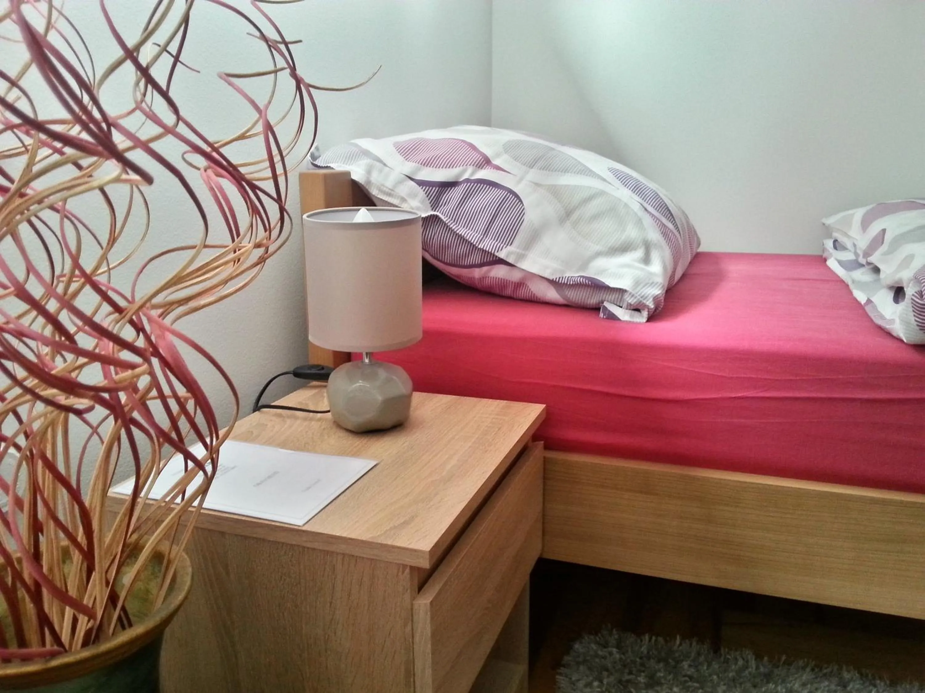 Bed in Studio Apartments Korosteljev