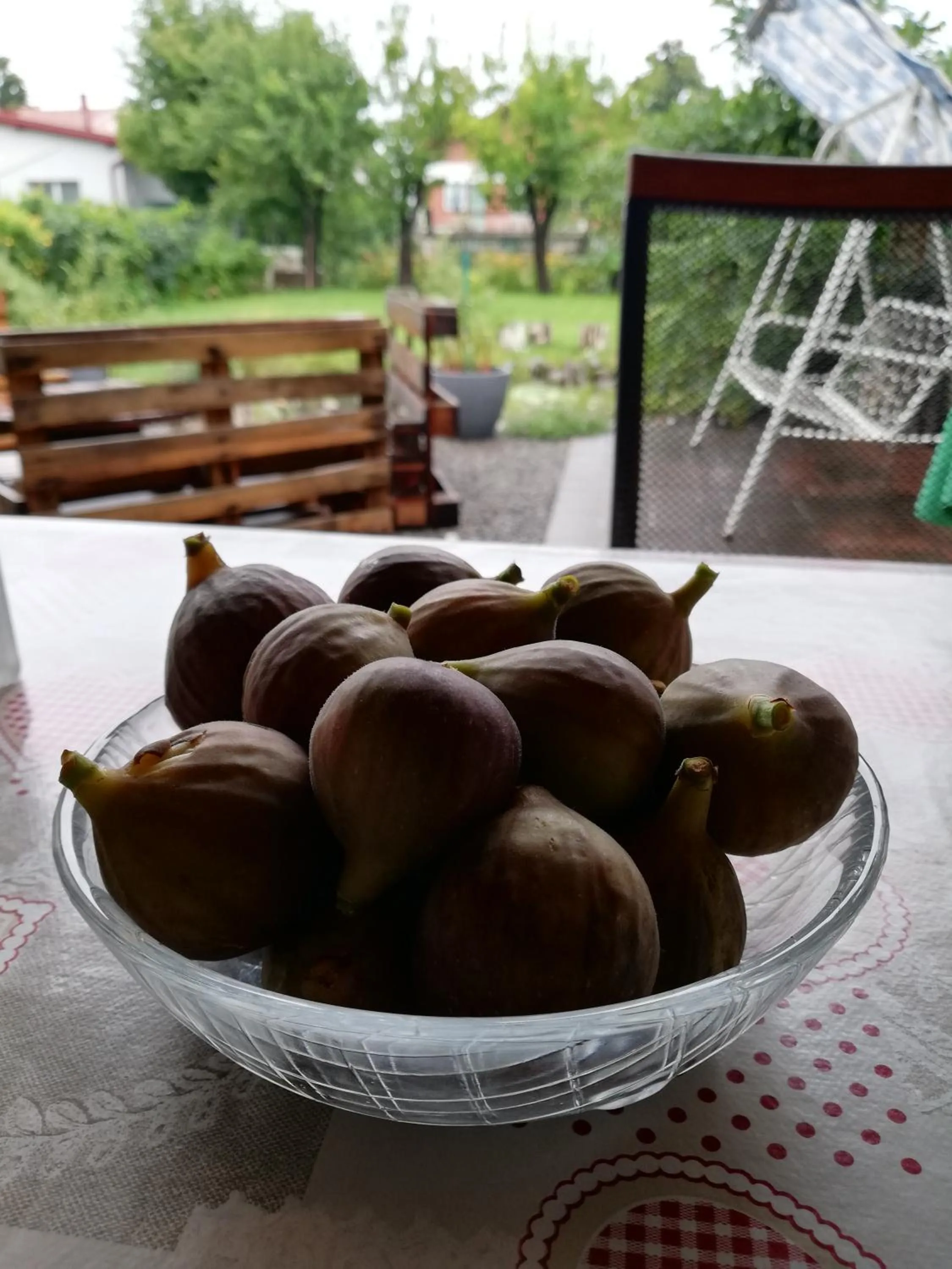 Food in Studio Apartments Korosteljev