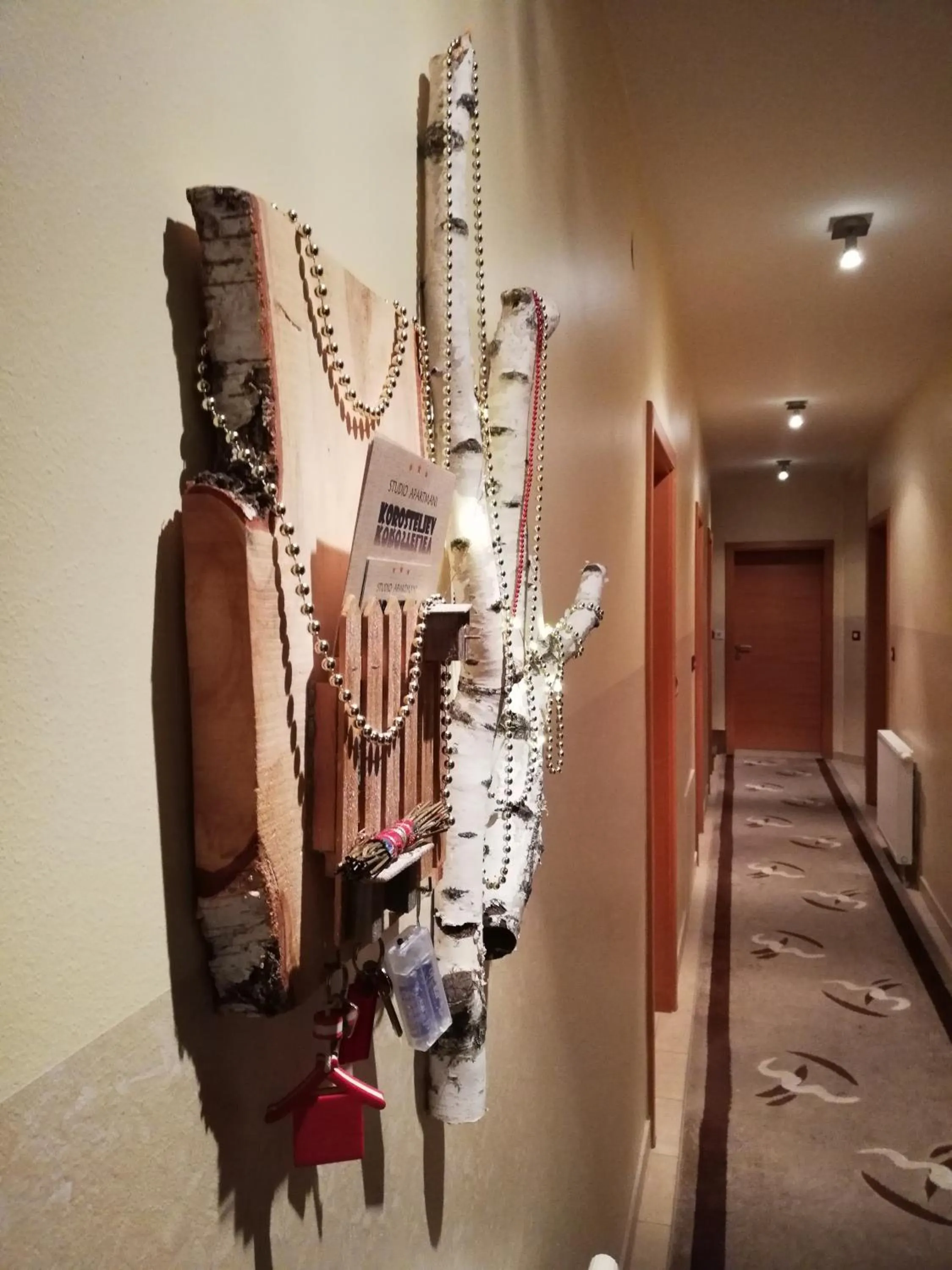 Lobby or reception in Studio Apartments Korosteljev