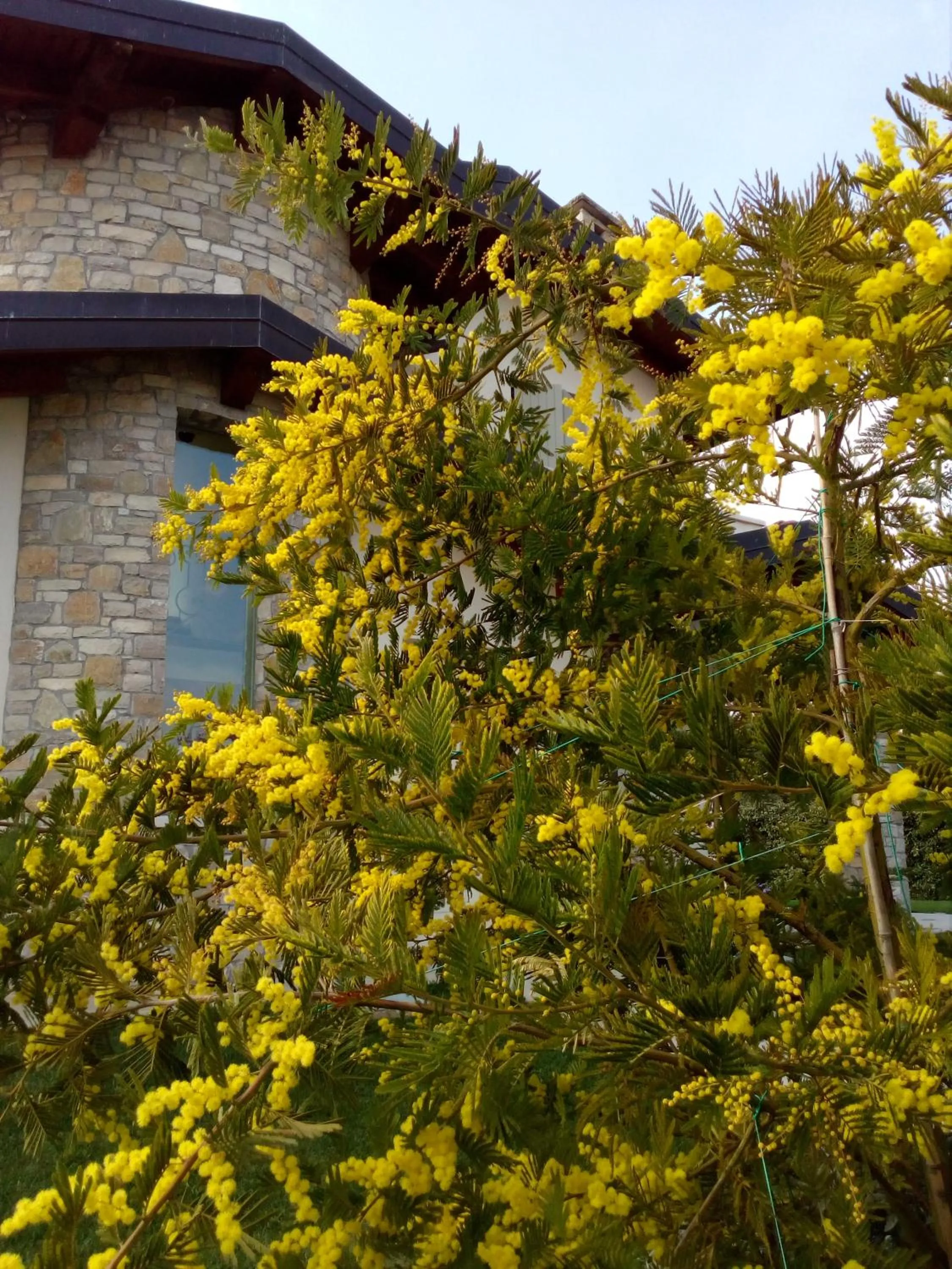 Property building in B&B Rosalu - Adults Only