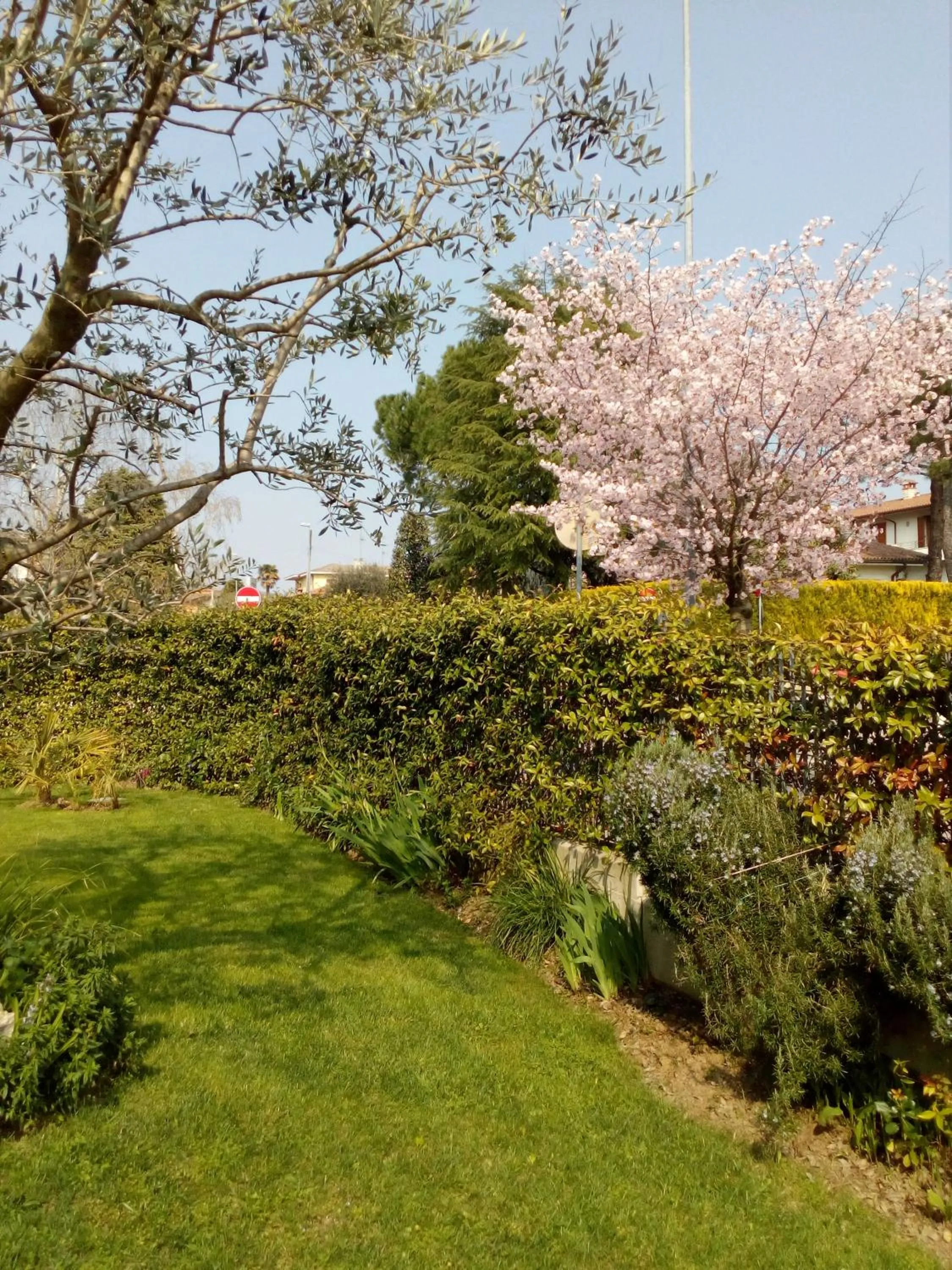 Garden in B&B Rosalu - Adults Only