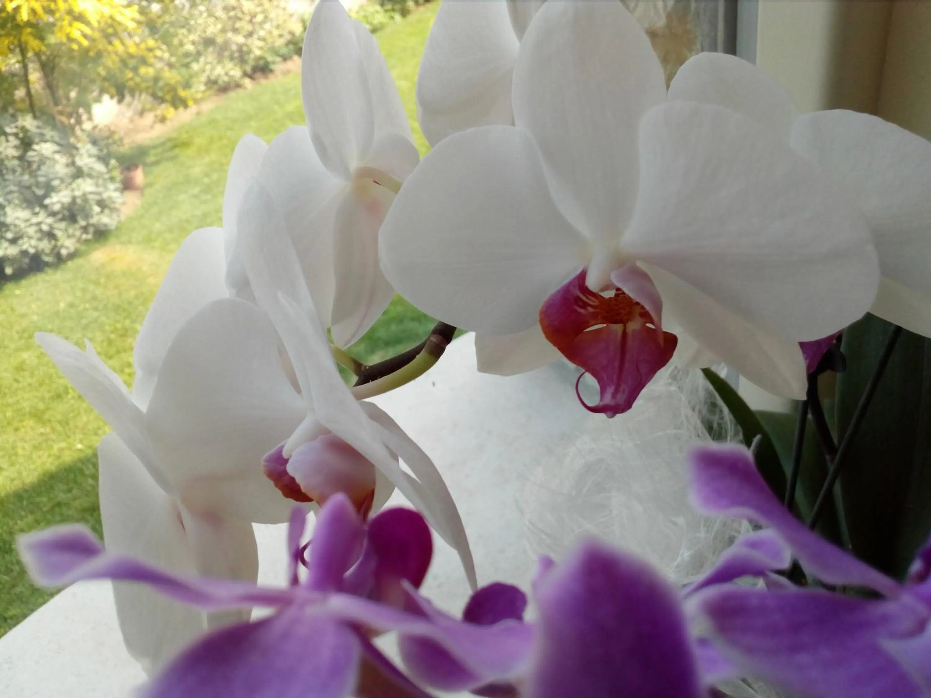 Decorative detail in B&B Rosalu - Adults Only