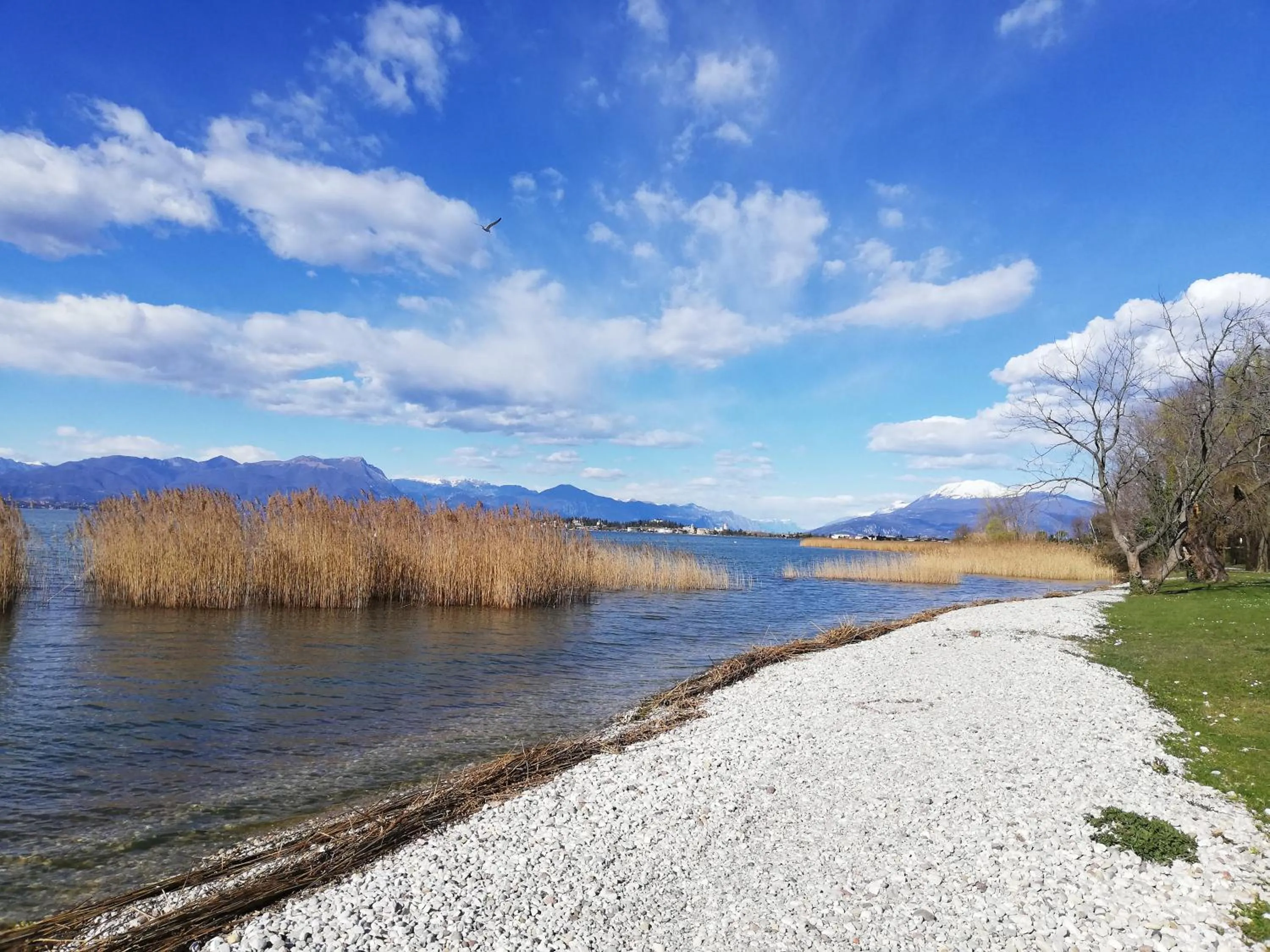 Natural landscape in B&B Rosalu - Adults Only