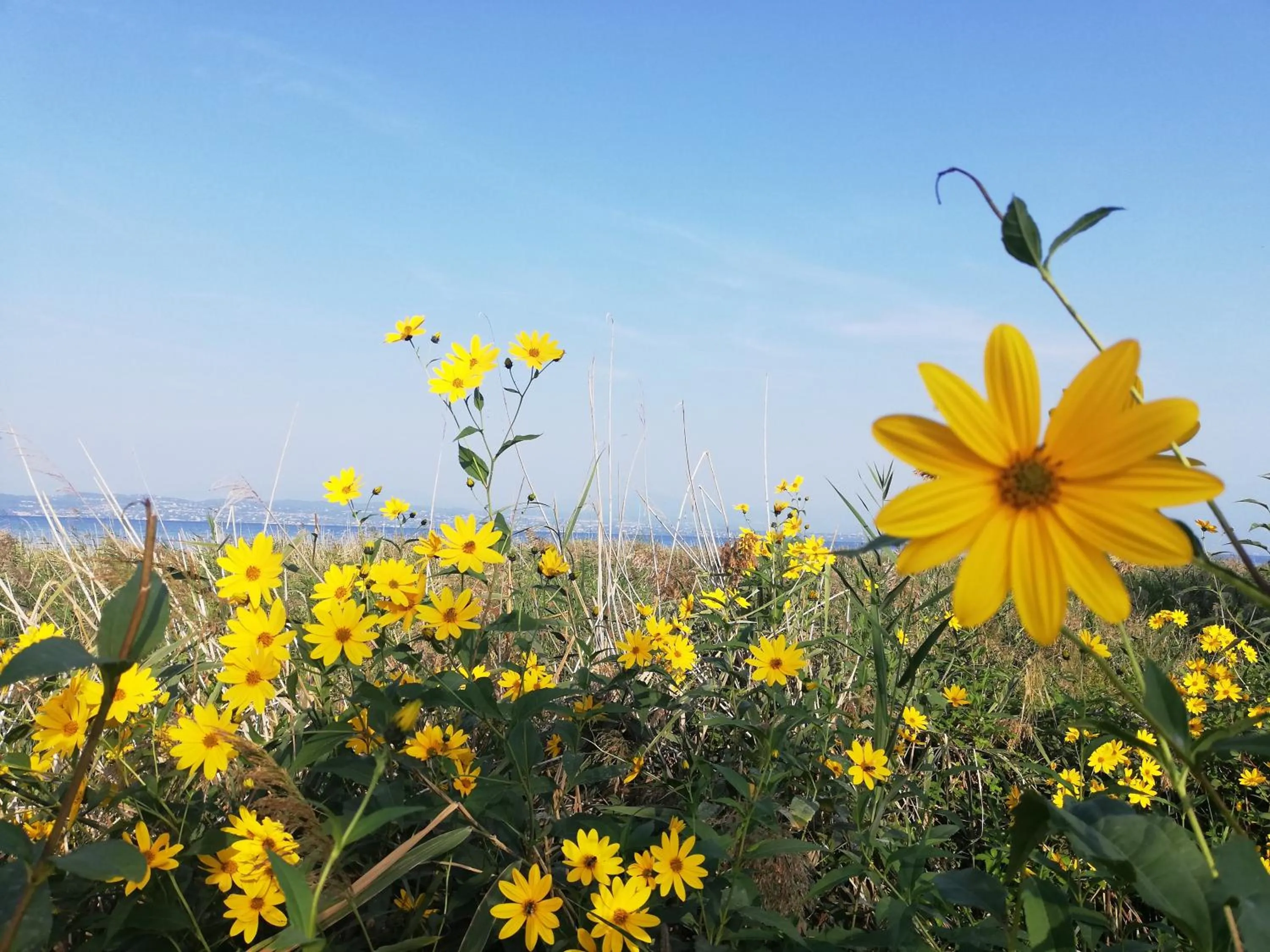 Natural landscape in B&B Rosalu - Adults Only
