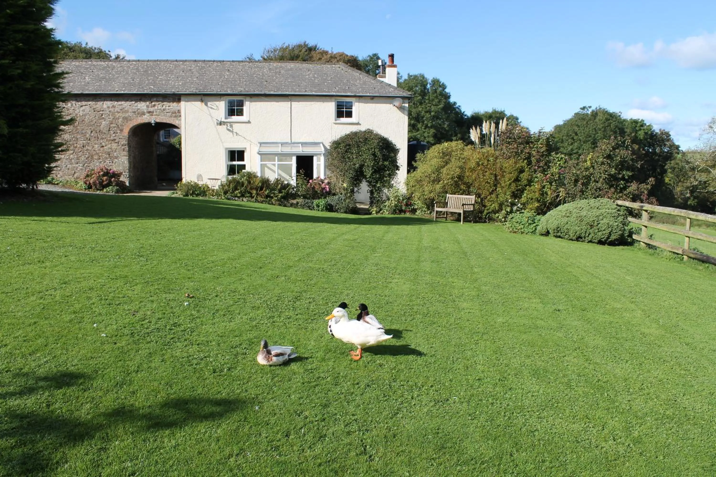 Garden view in Rectory Farm