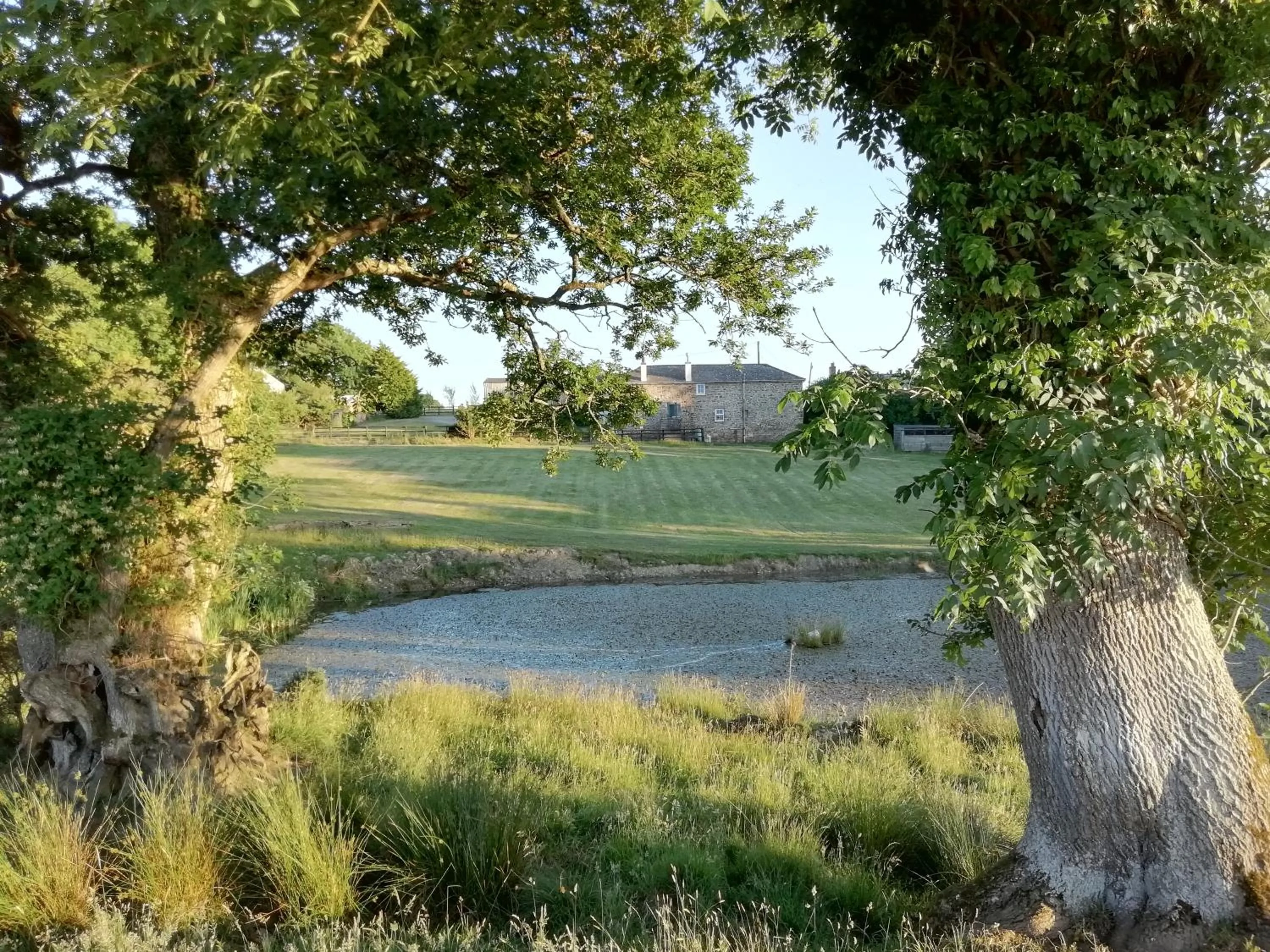 Natural landscape in Rectory Farm