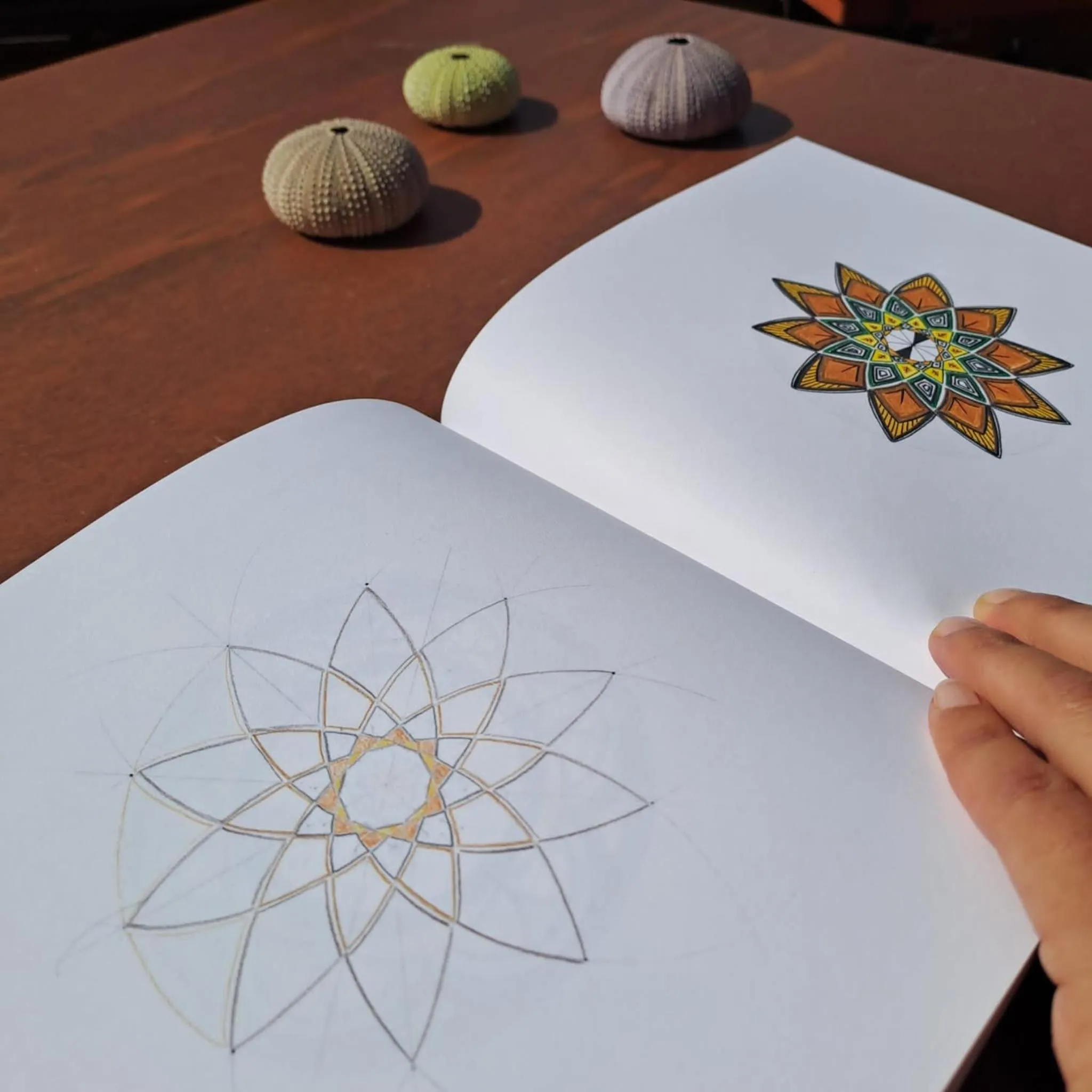 Banquet/Function facilities in Entre Vinhas & Mar