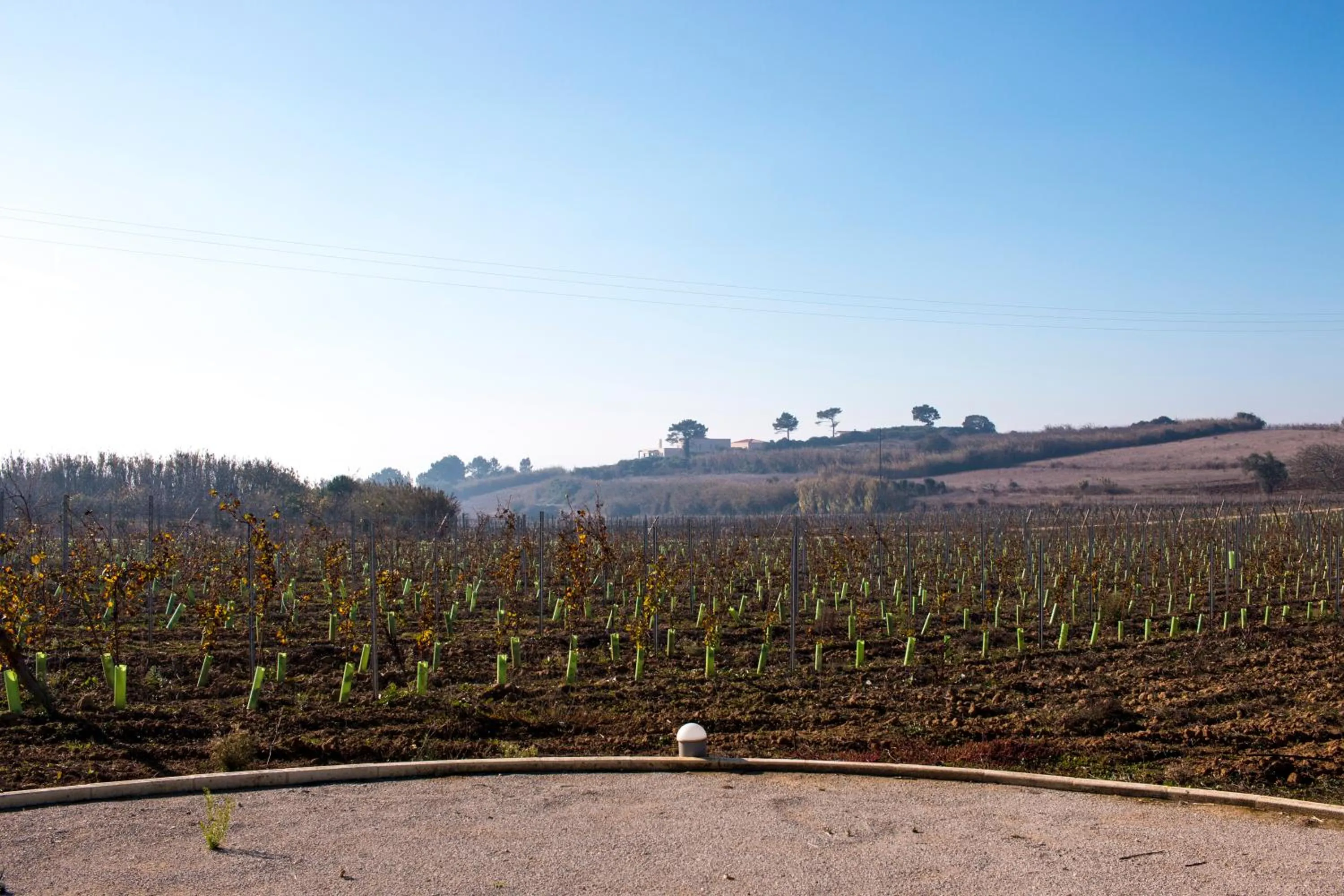 Spring in Entre Vinhas & Mar