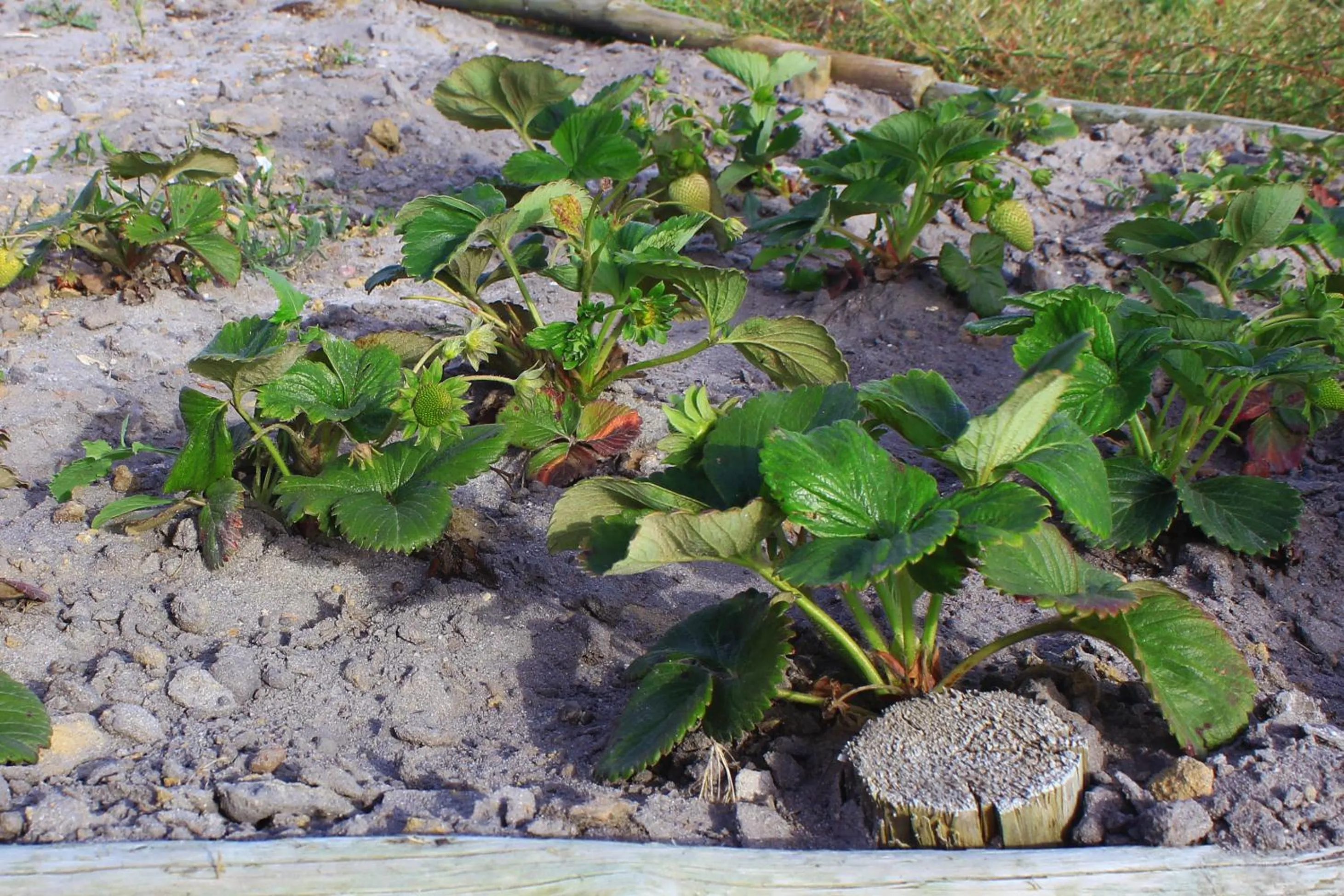 Area and facilities in Entre Vinhas & Mar