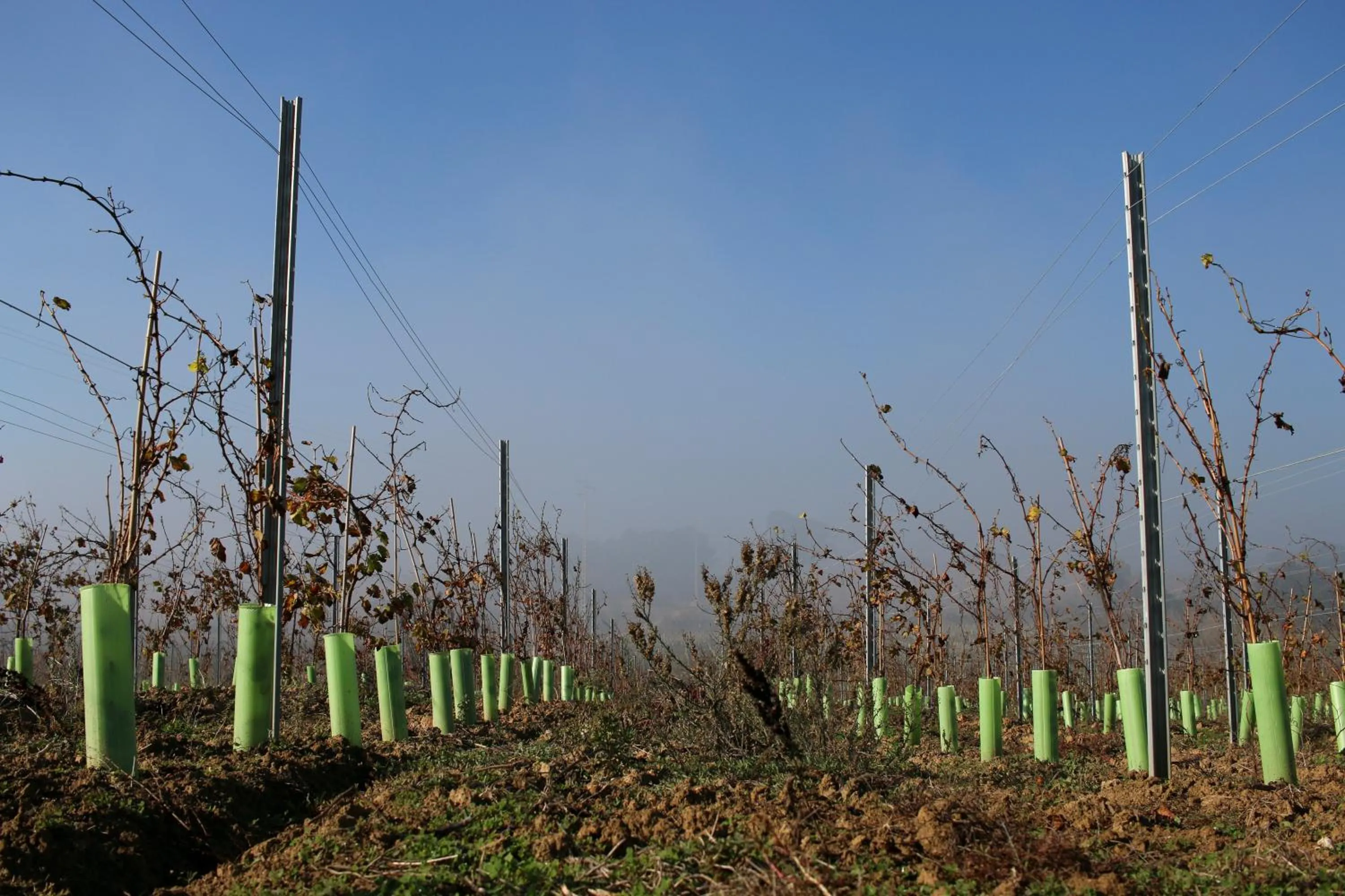 Day in Entre Vinhas & Mar