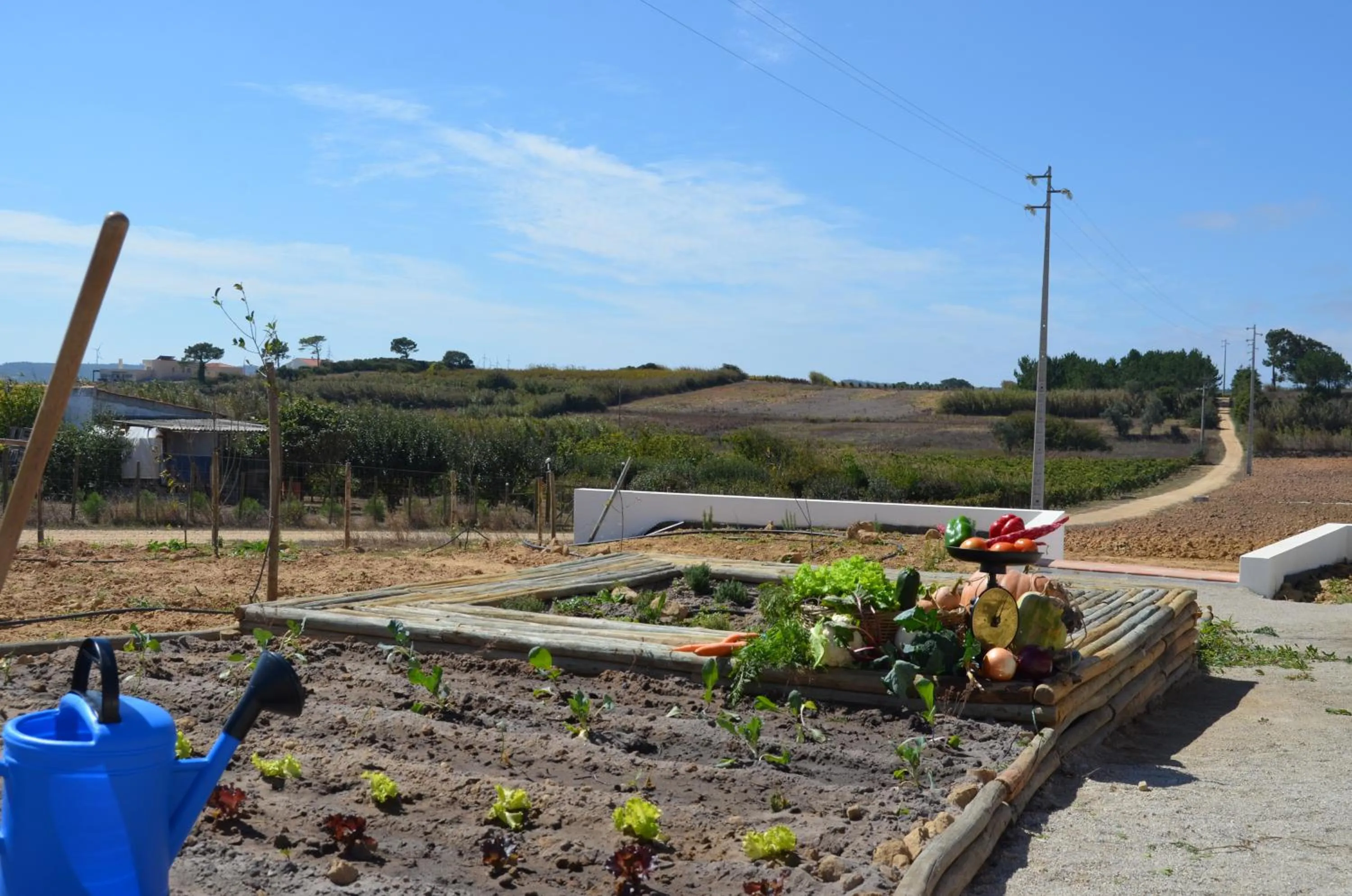 Day in Entre Vinhas & Mar