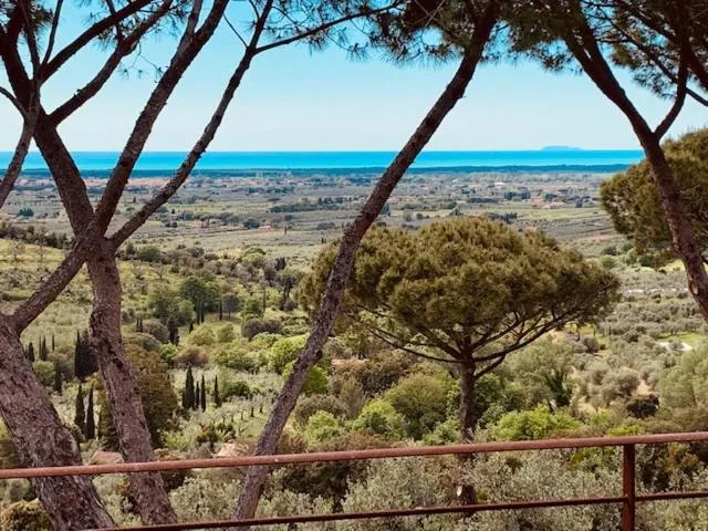 Podere Il Castellaccio