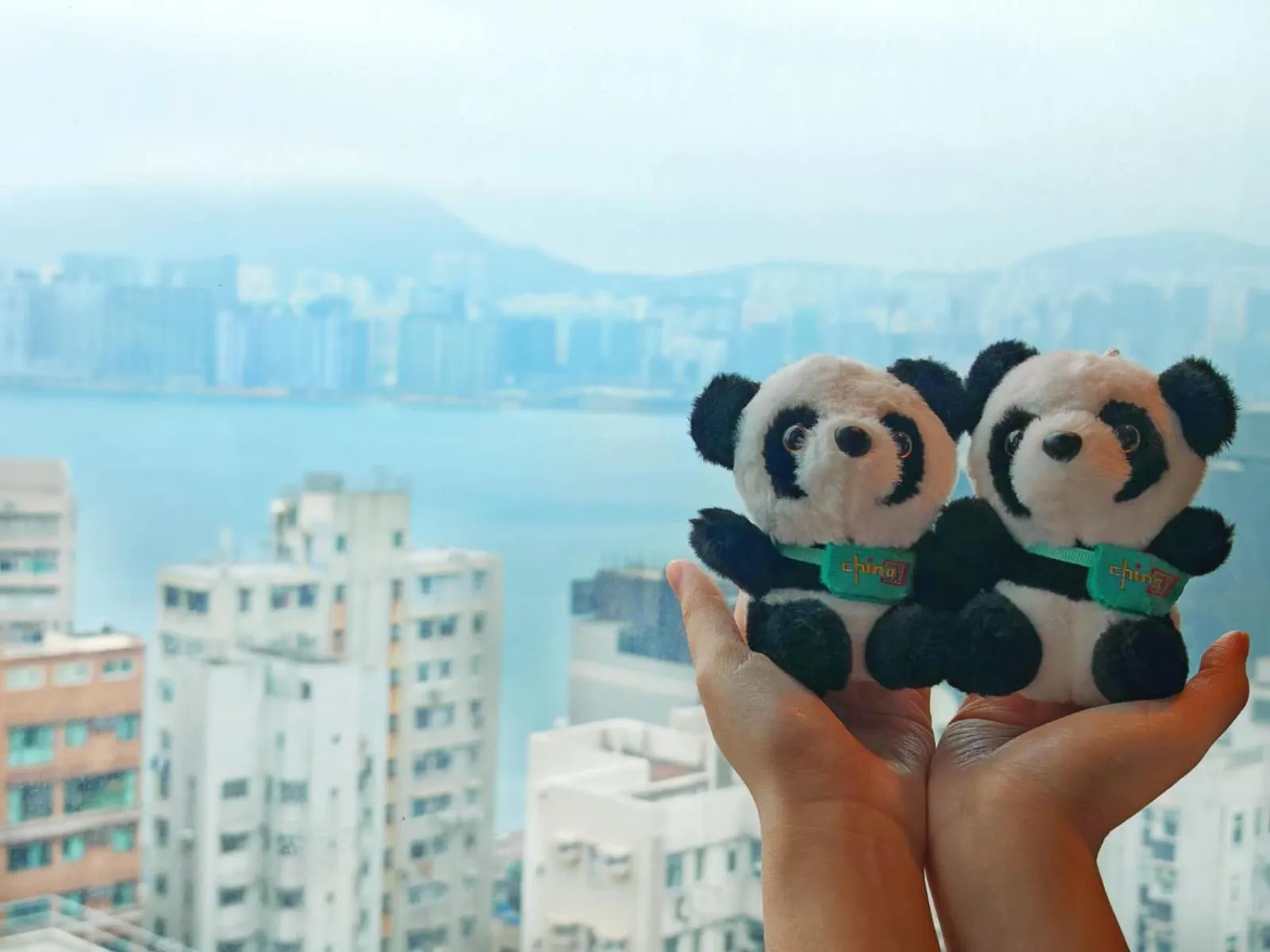 View (from property/room) in Ramada Hong Kong Grand View