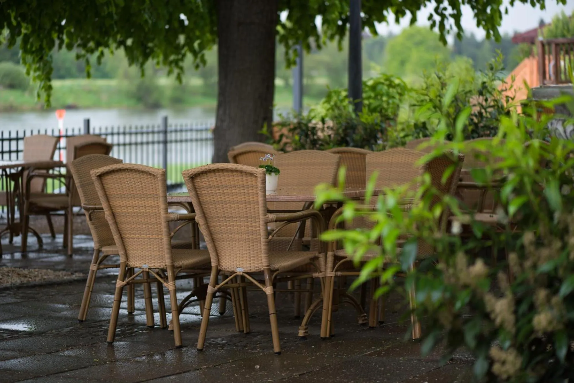 Elbterrasse Wachwitz