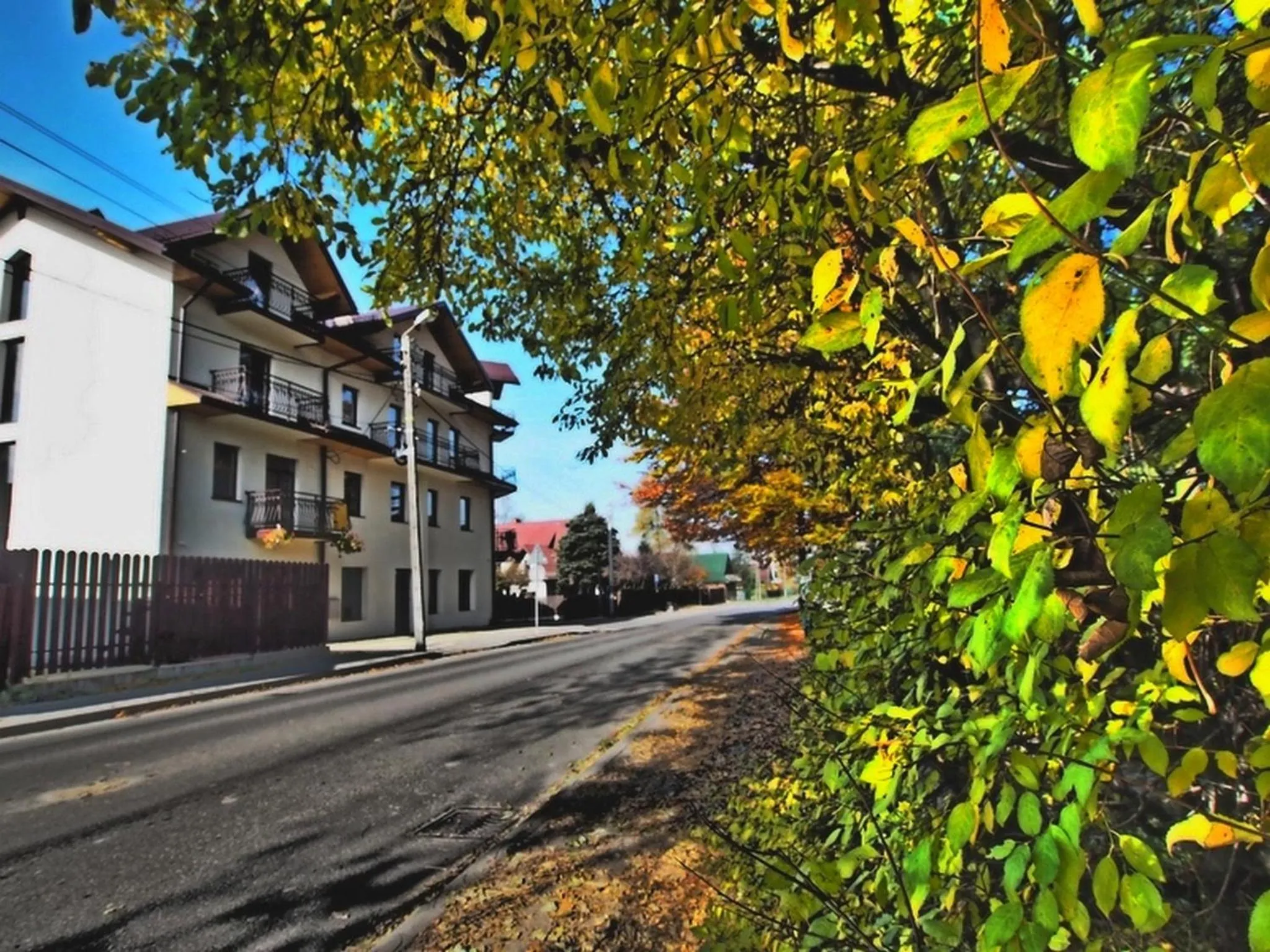 Autumn in DW Poronianka