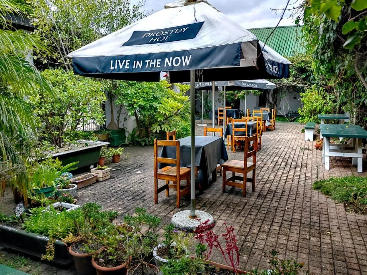 Garden in Albertinia Hotel