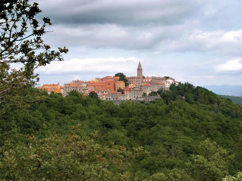 Neighbourhood in Mobile Homes Romantik