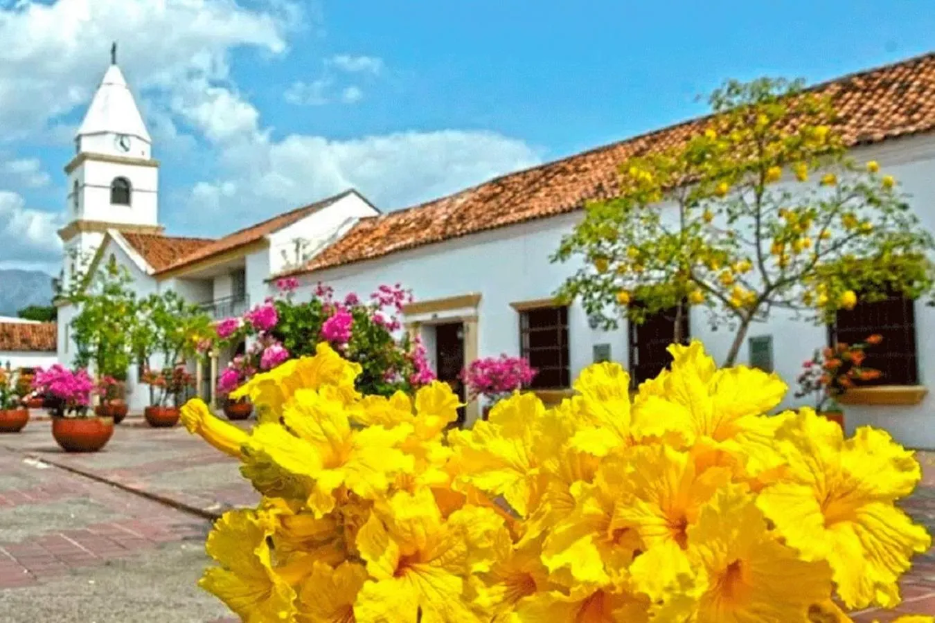 Entertainment in Las Piloneras Apartahotel