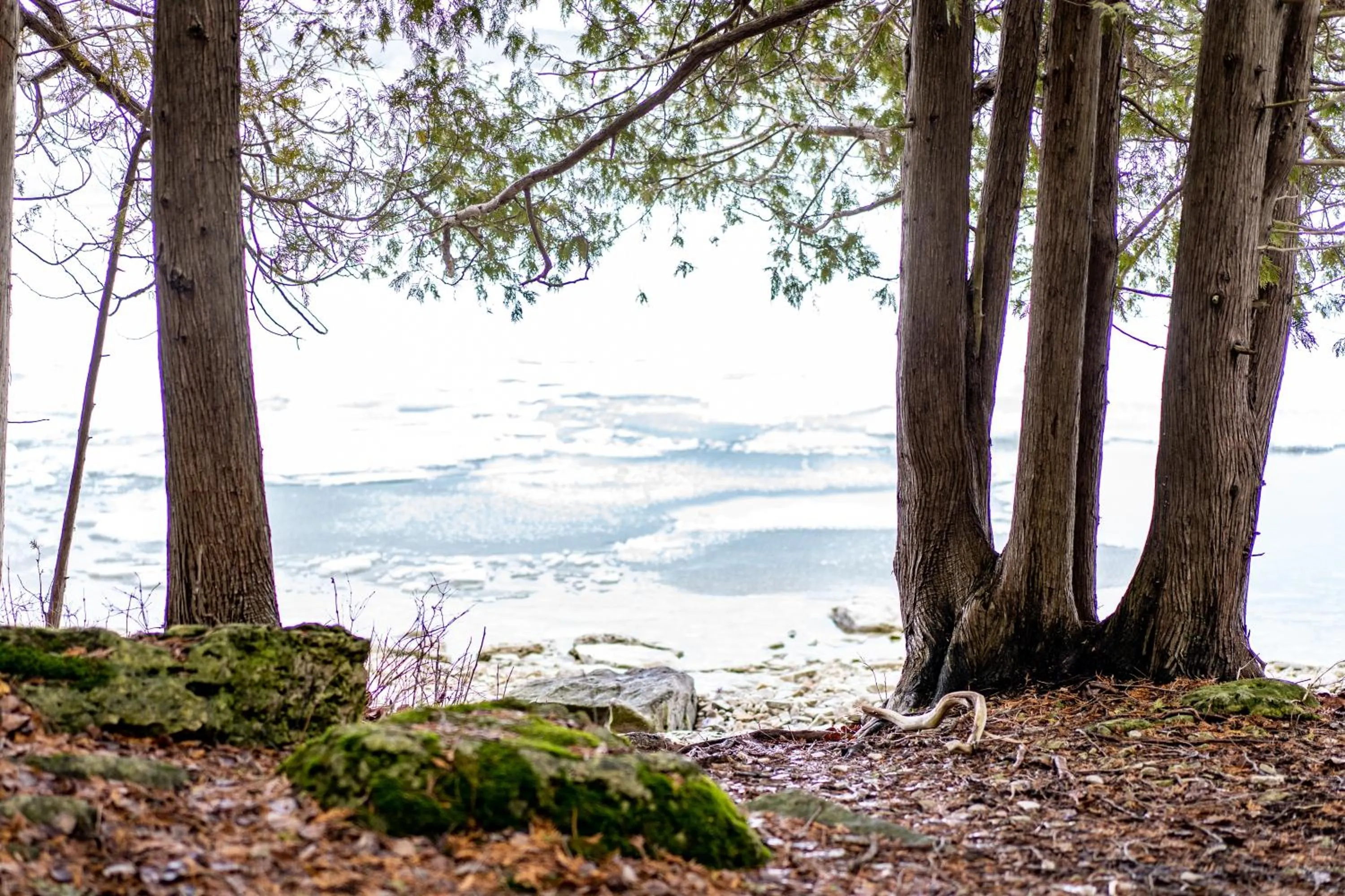 Hiking in Beach Harbor Resort