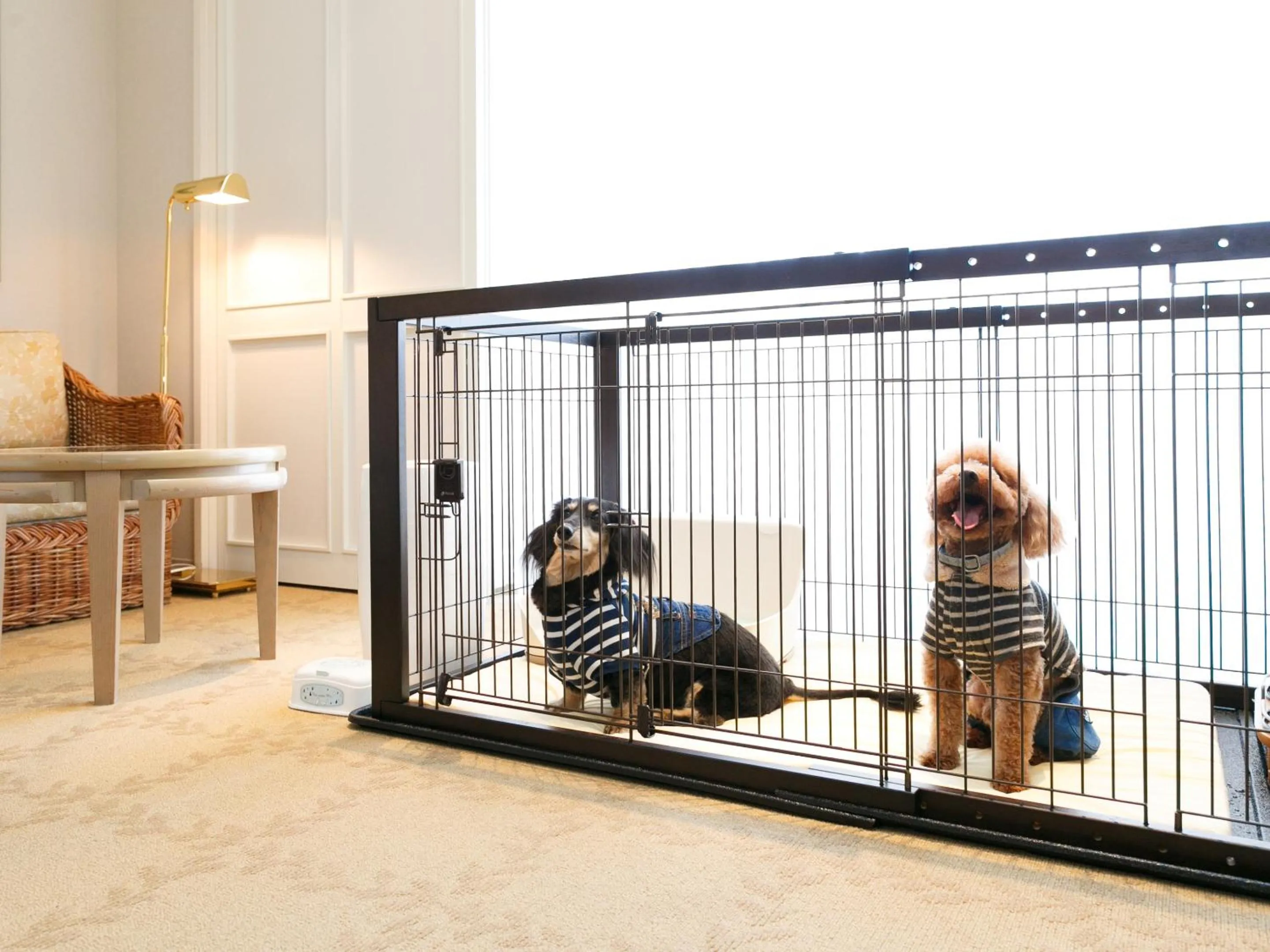 Photo of the whole room in Okura Akademia Park Hotel