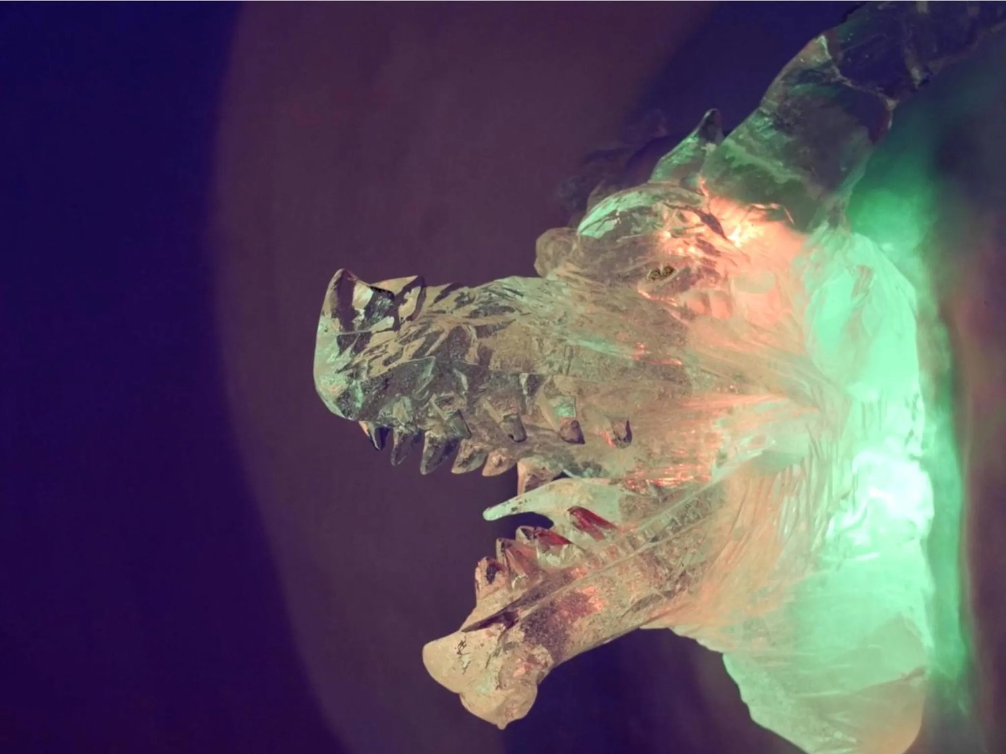 Night in Hunderfossen Snow Hotel