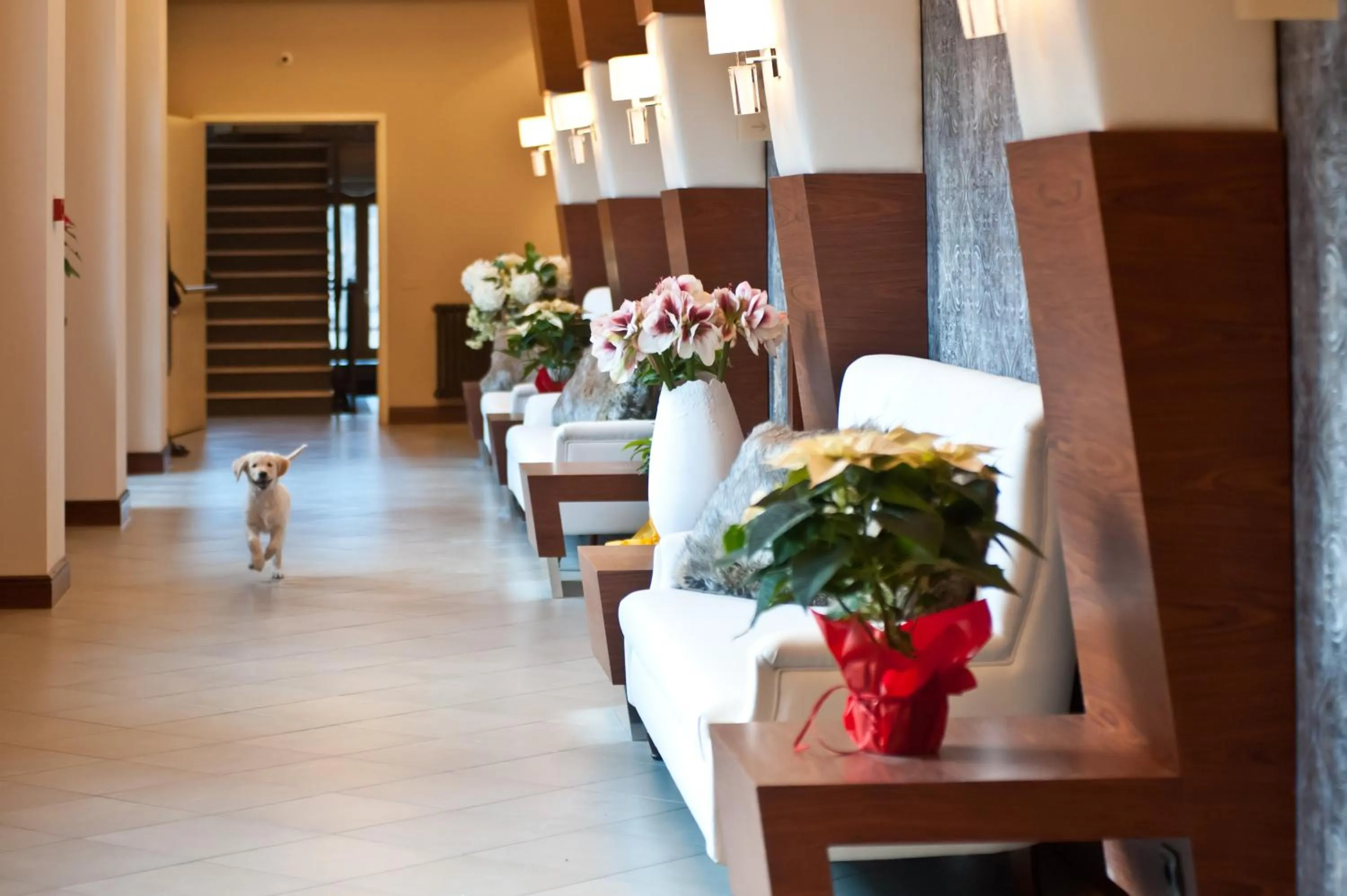 Lobby or reception in Hotel Garnì Cristallo