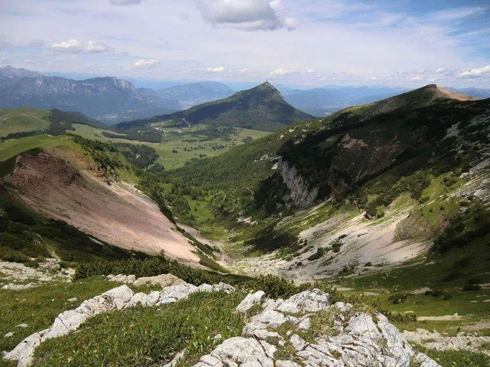 Summer in Residence Prada