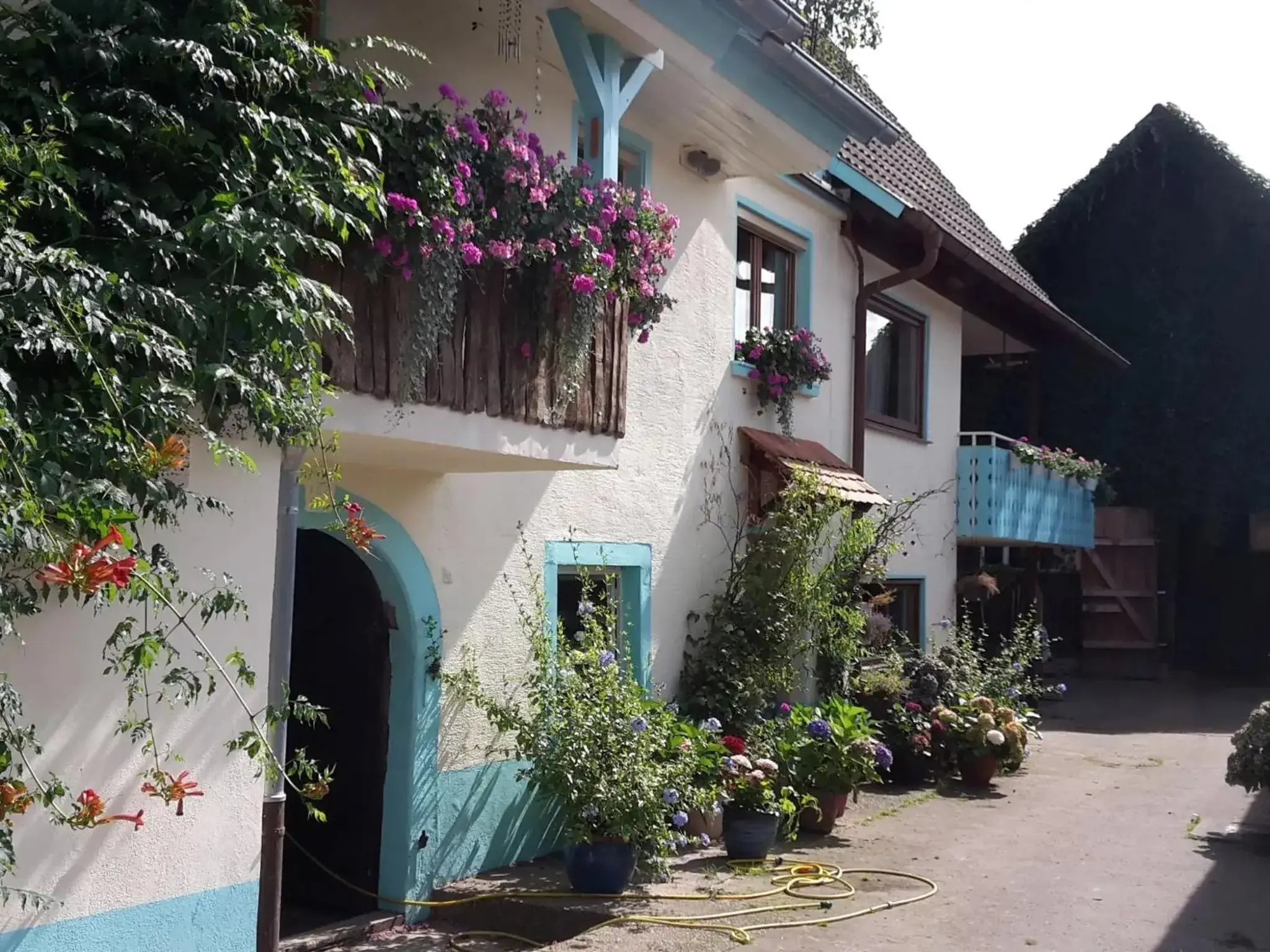 Rosenhof Broggingen Rosenhof Broggingen