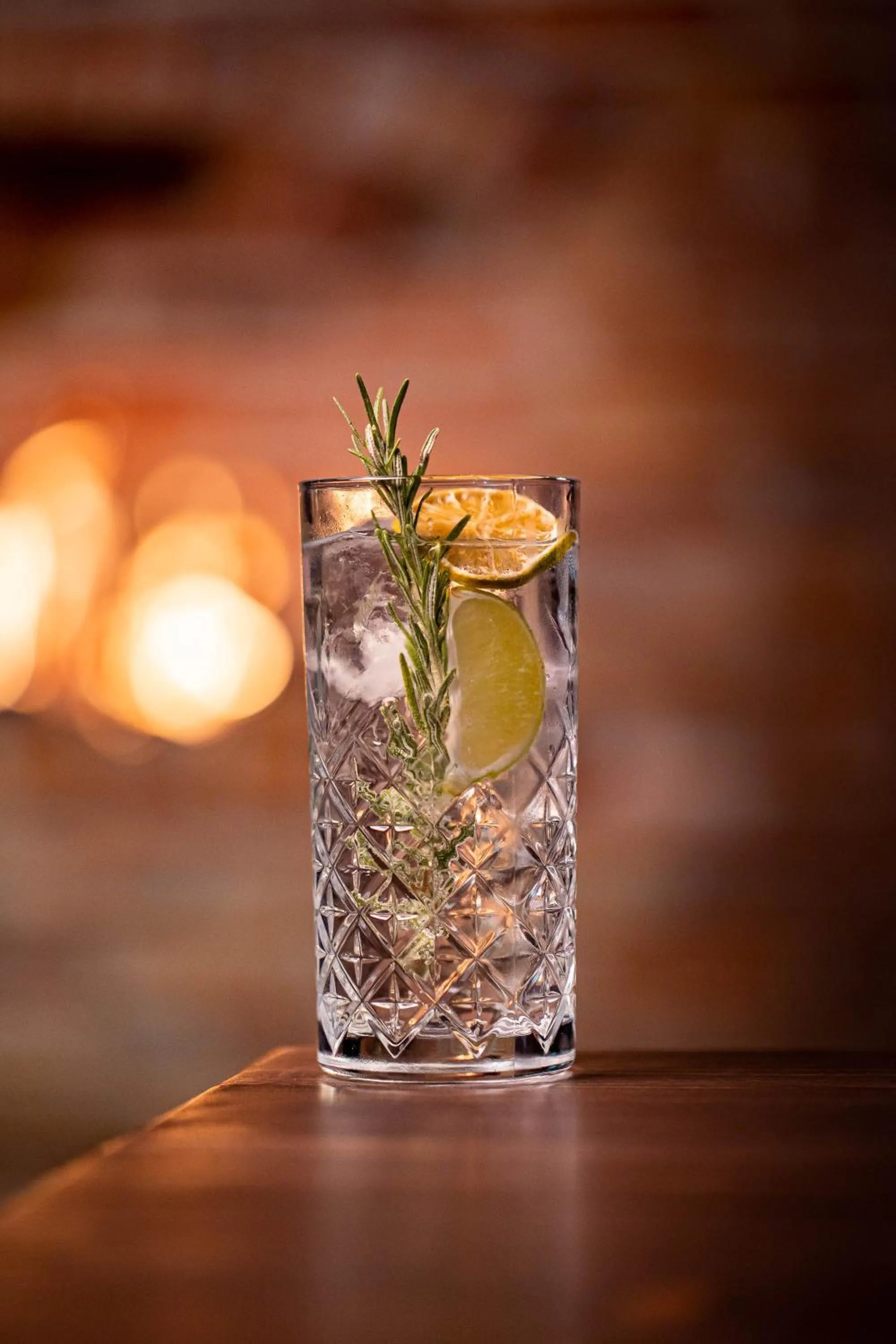 Drinks in Gradina Snagov