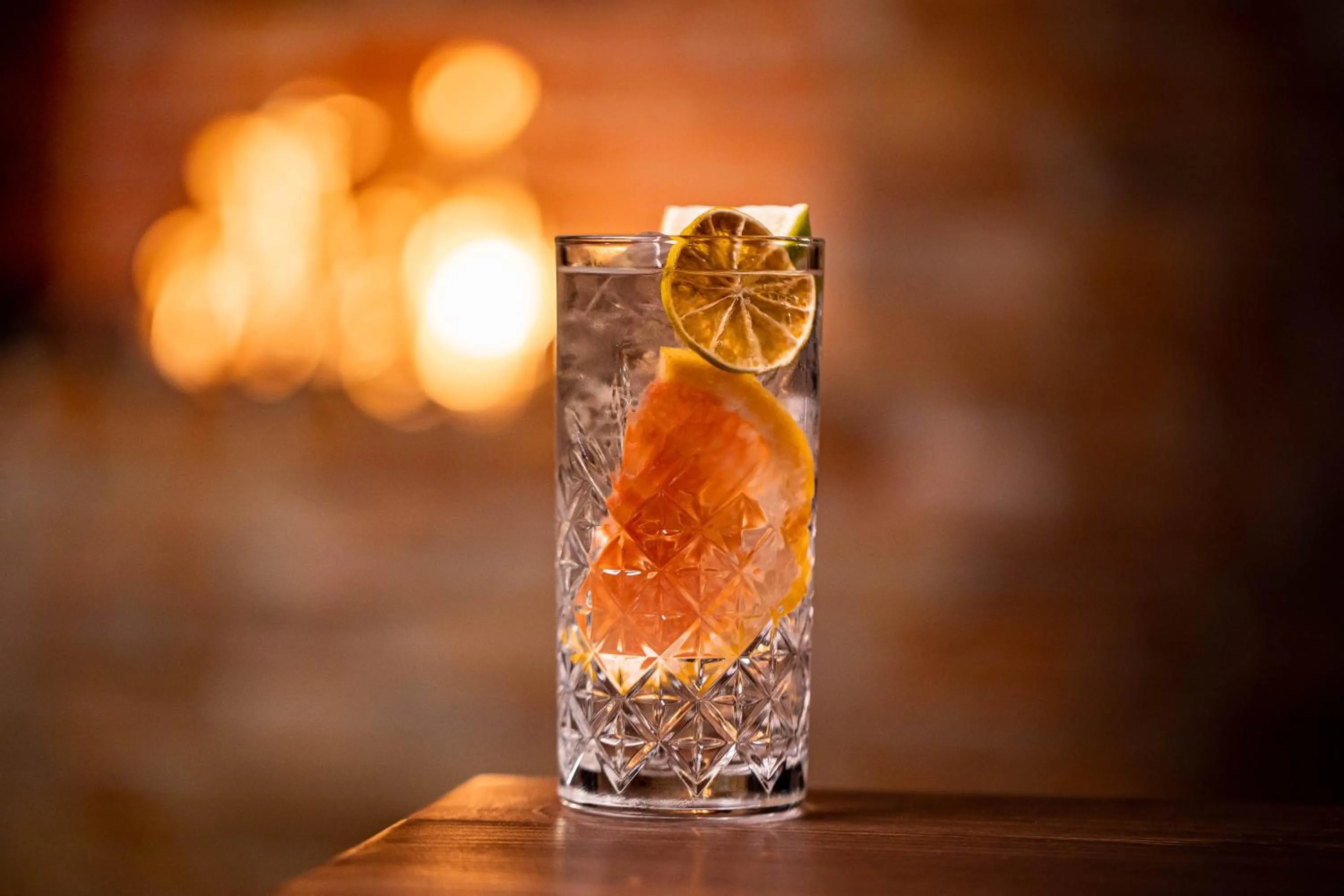 Drinks in Gradina Snagov