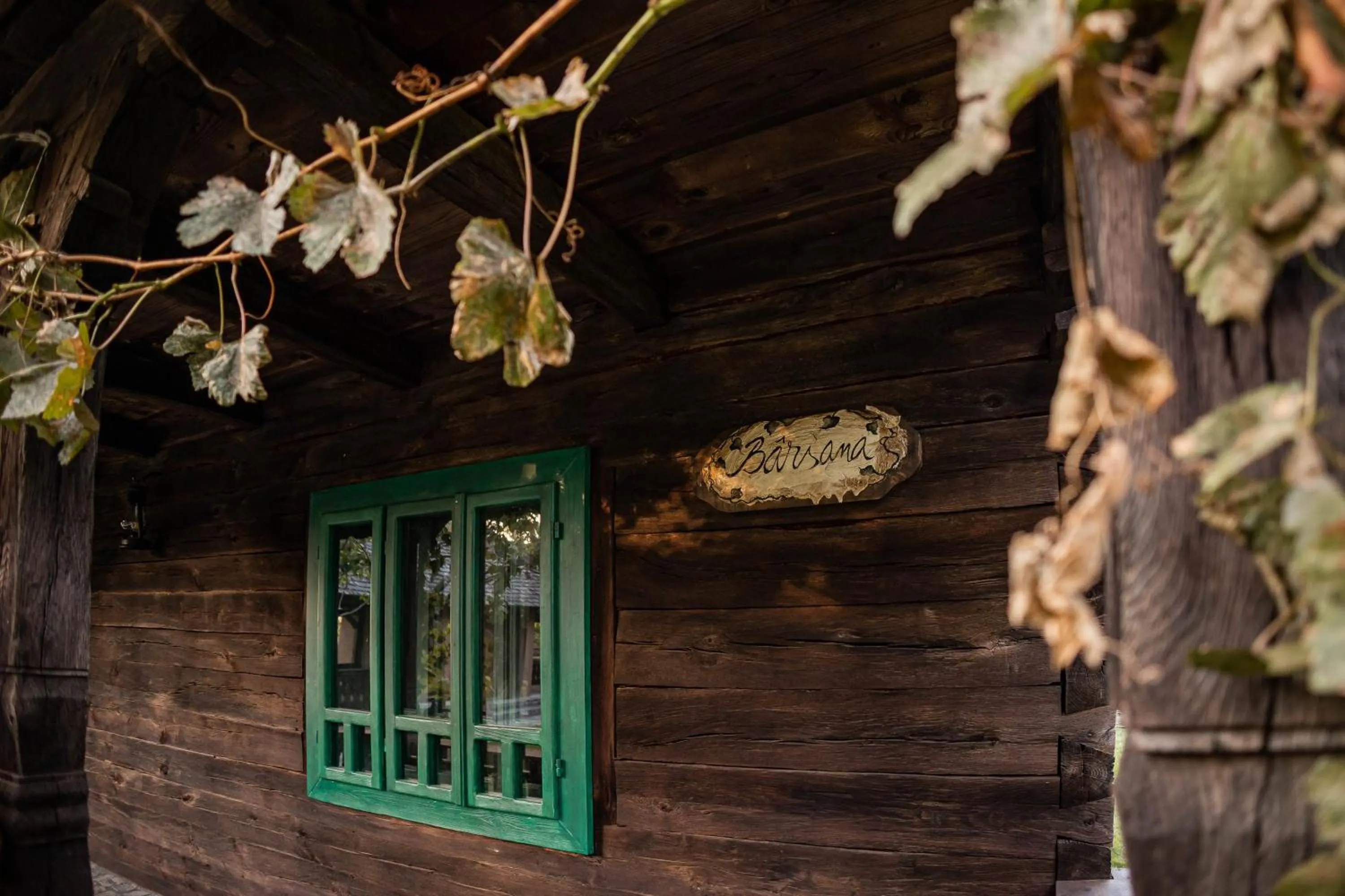 Gradina Snagov
