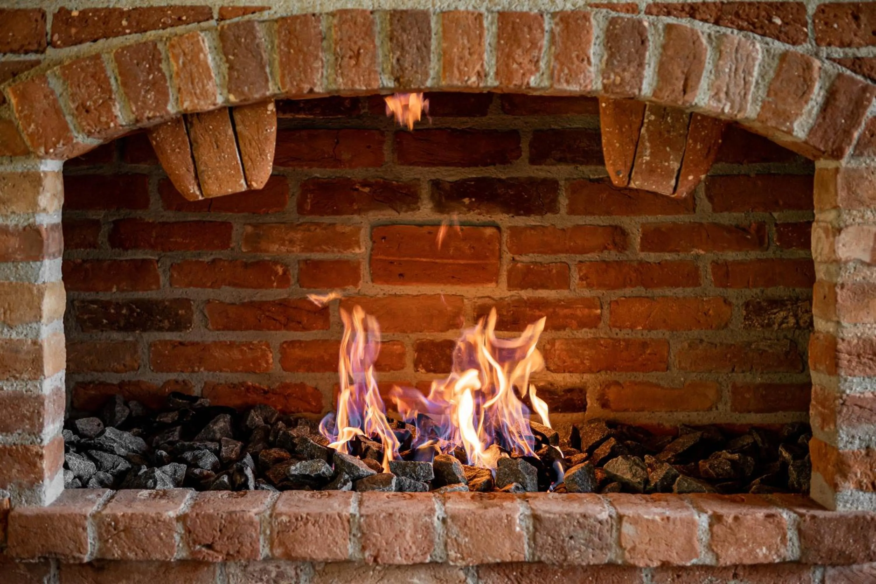 Restaurant/places to eat in Gradina Snagov