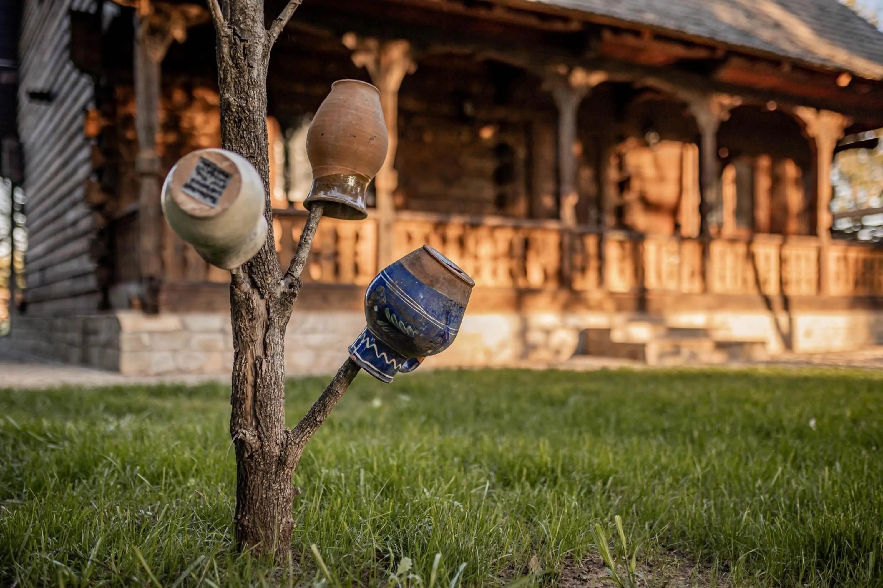 Property building in Gradina Snagov