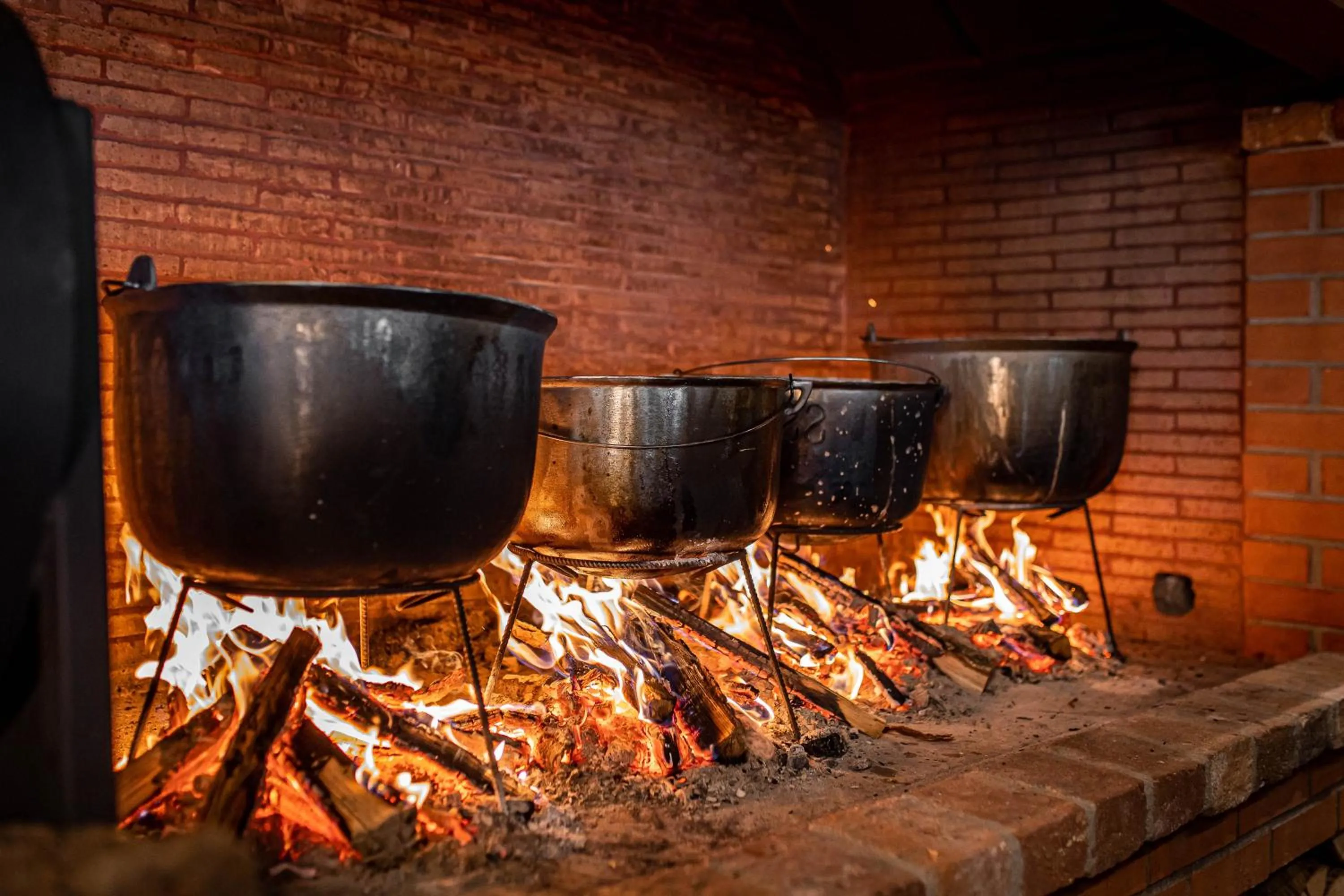 Restaurant/places to eat in Gradina Snagov