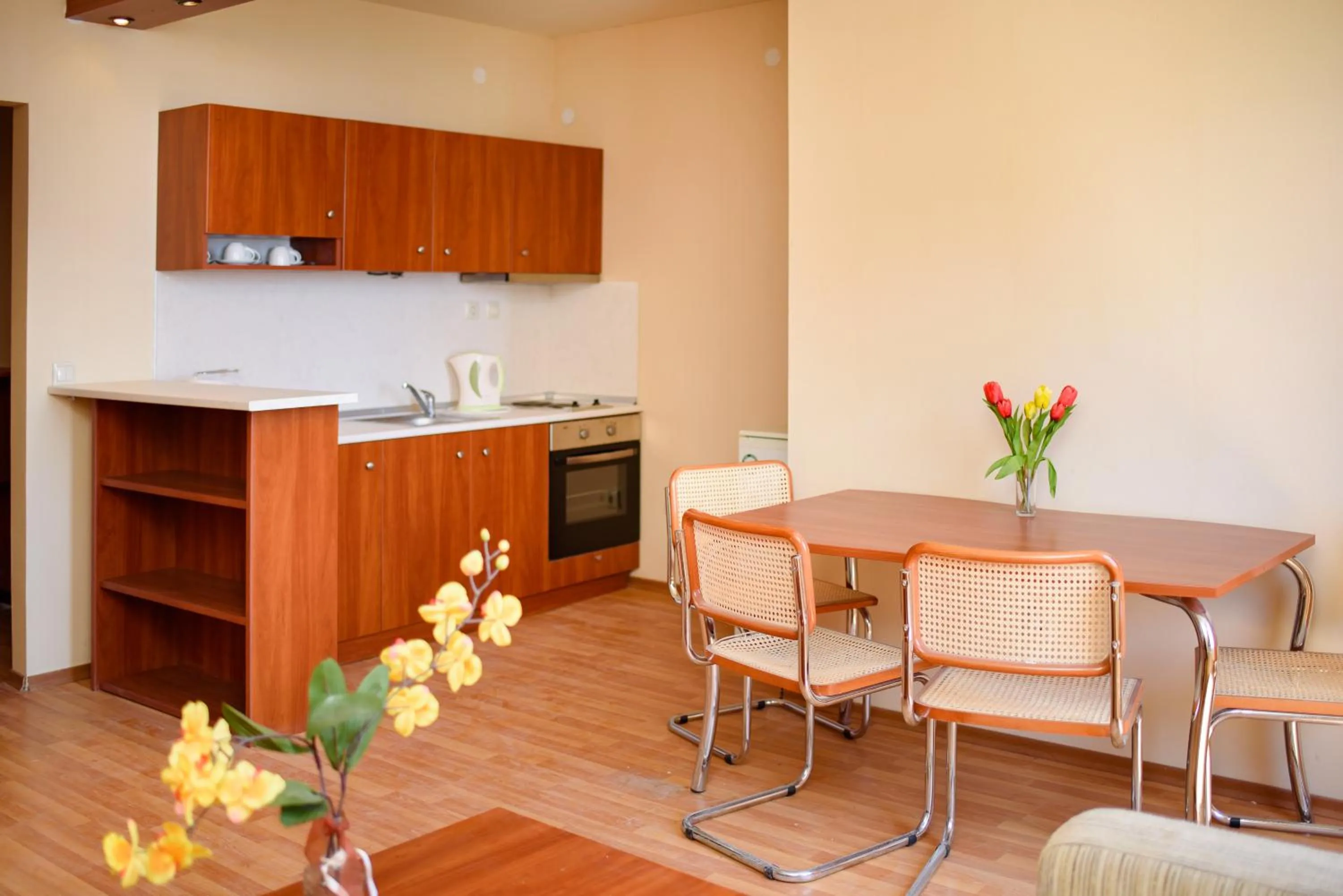 Kitchen or kitchenette in Sea View Rental Iglika Apartments