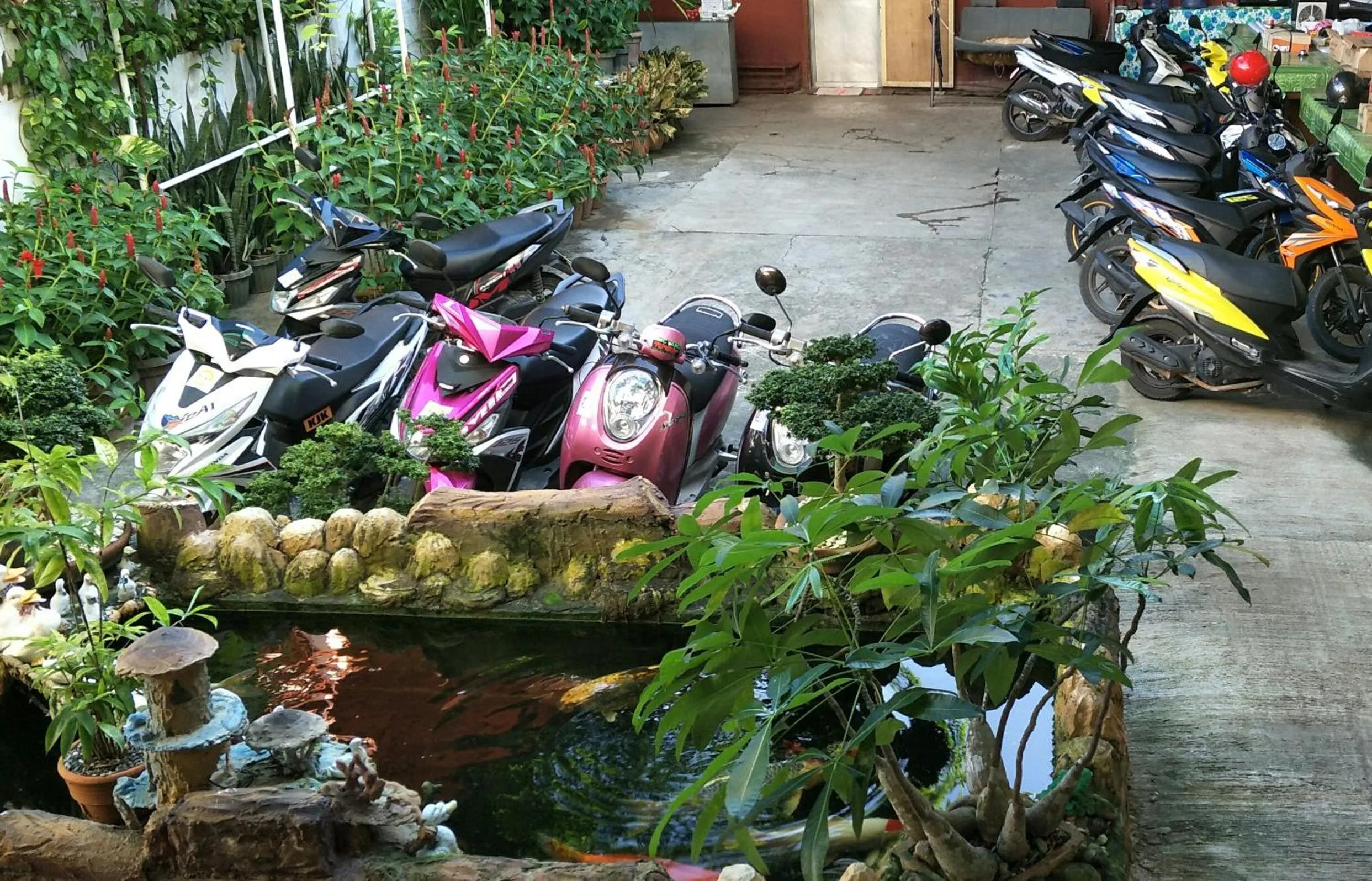 First Baby Bytes Guest House