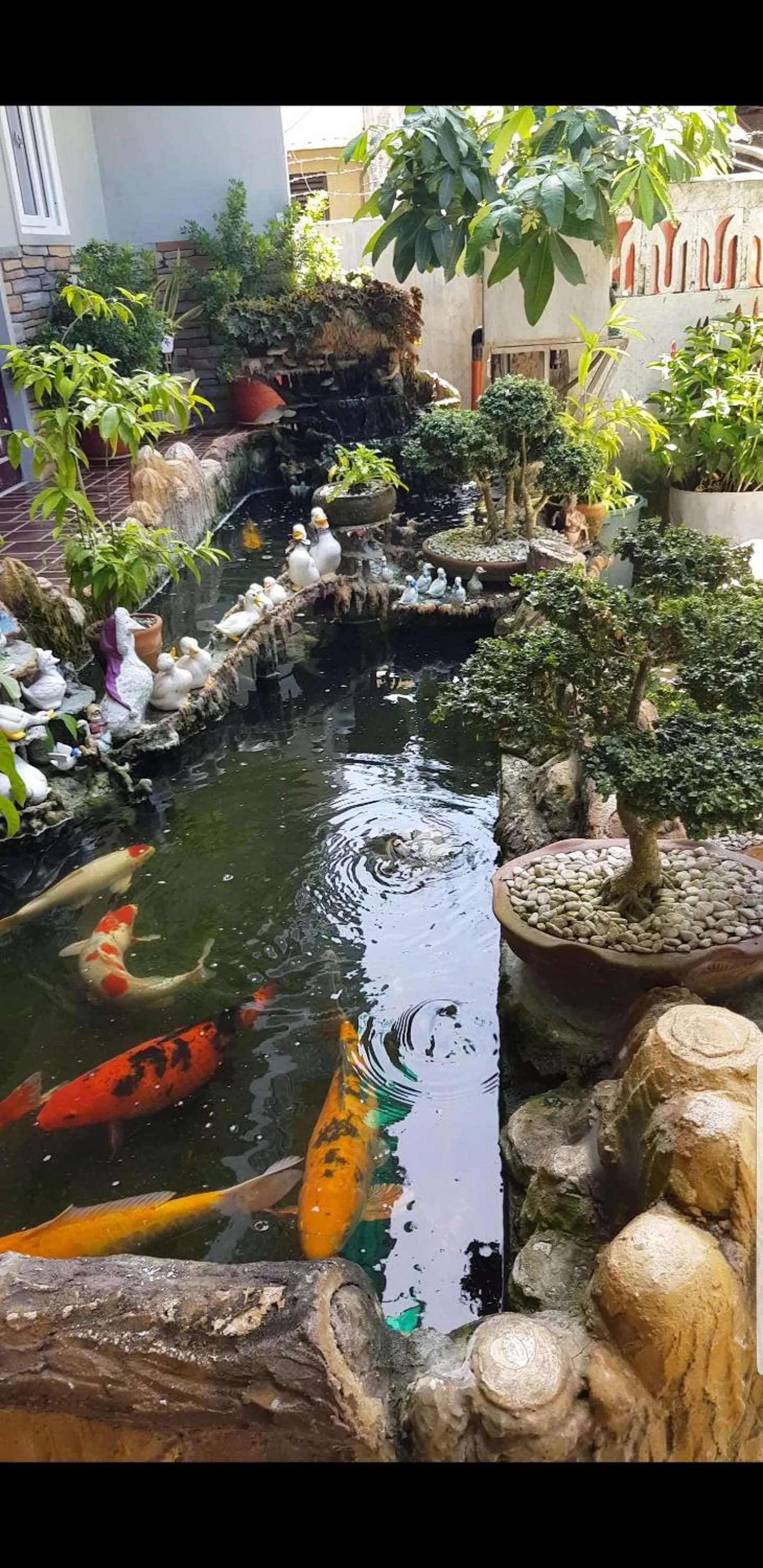 First Baby Bytes Guest House