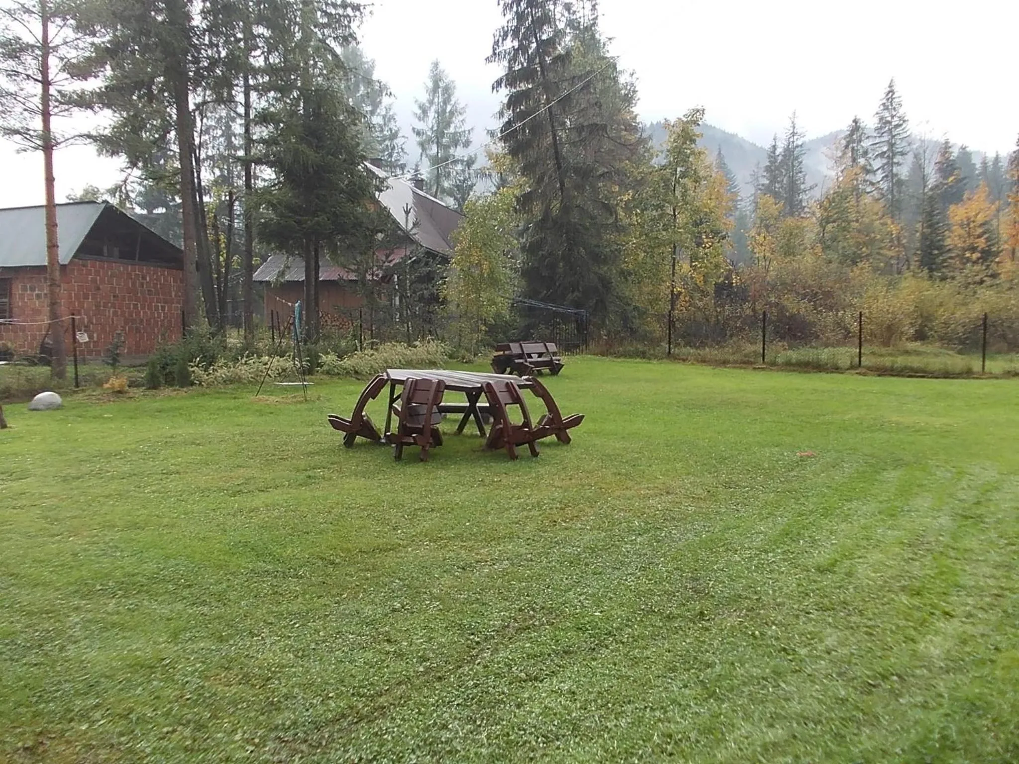 Day in Willa Senator